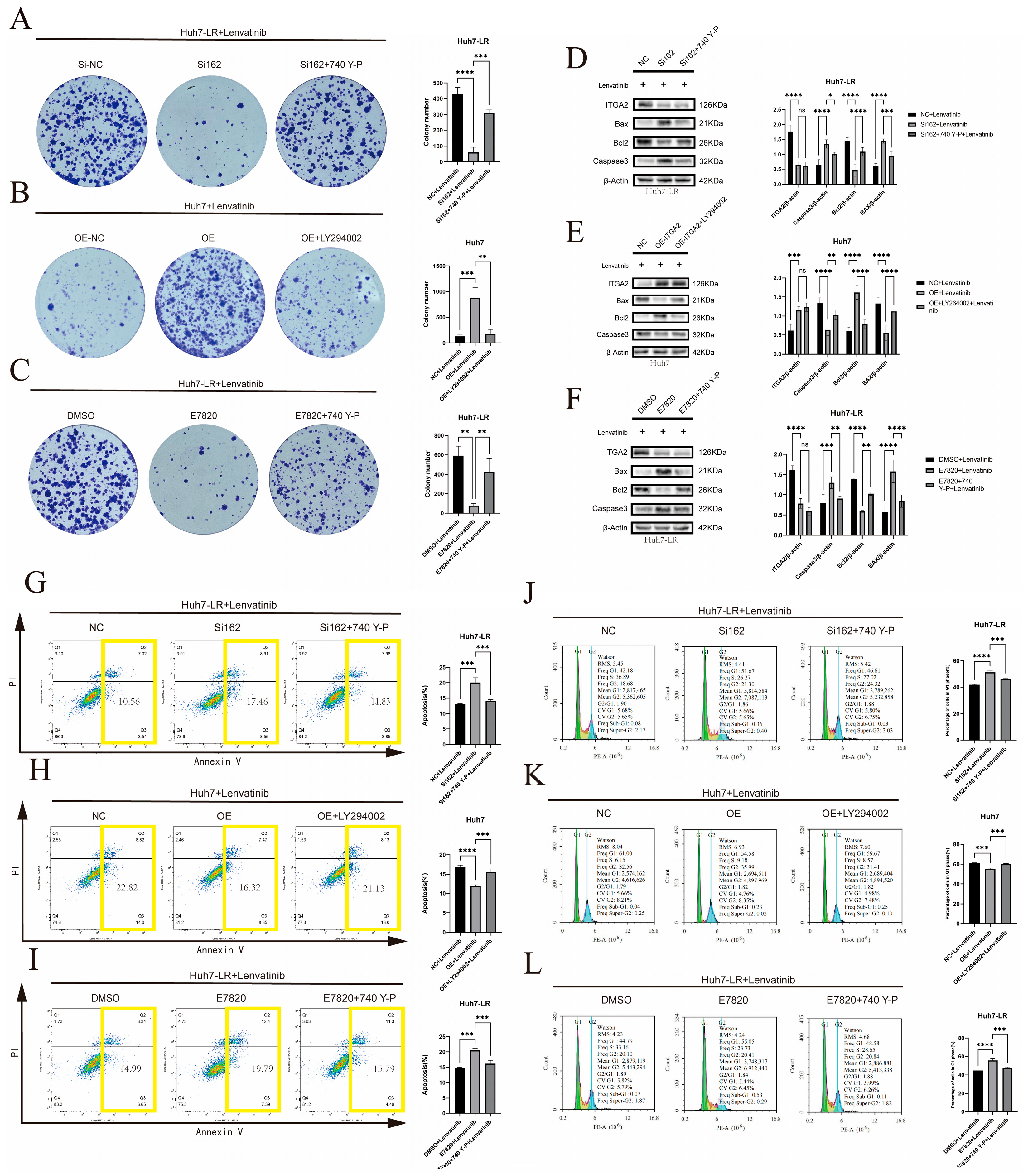 Cancers 17 02846 g008 Cancers 17 02846 g008