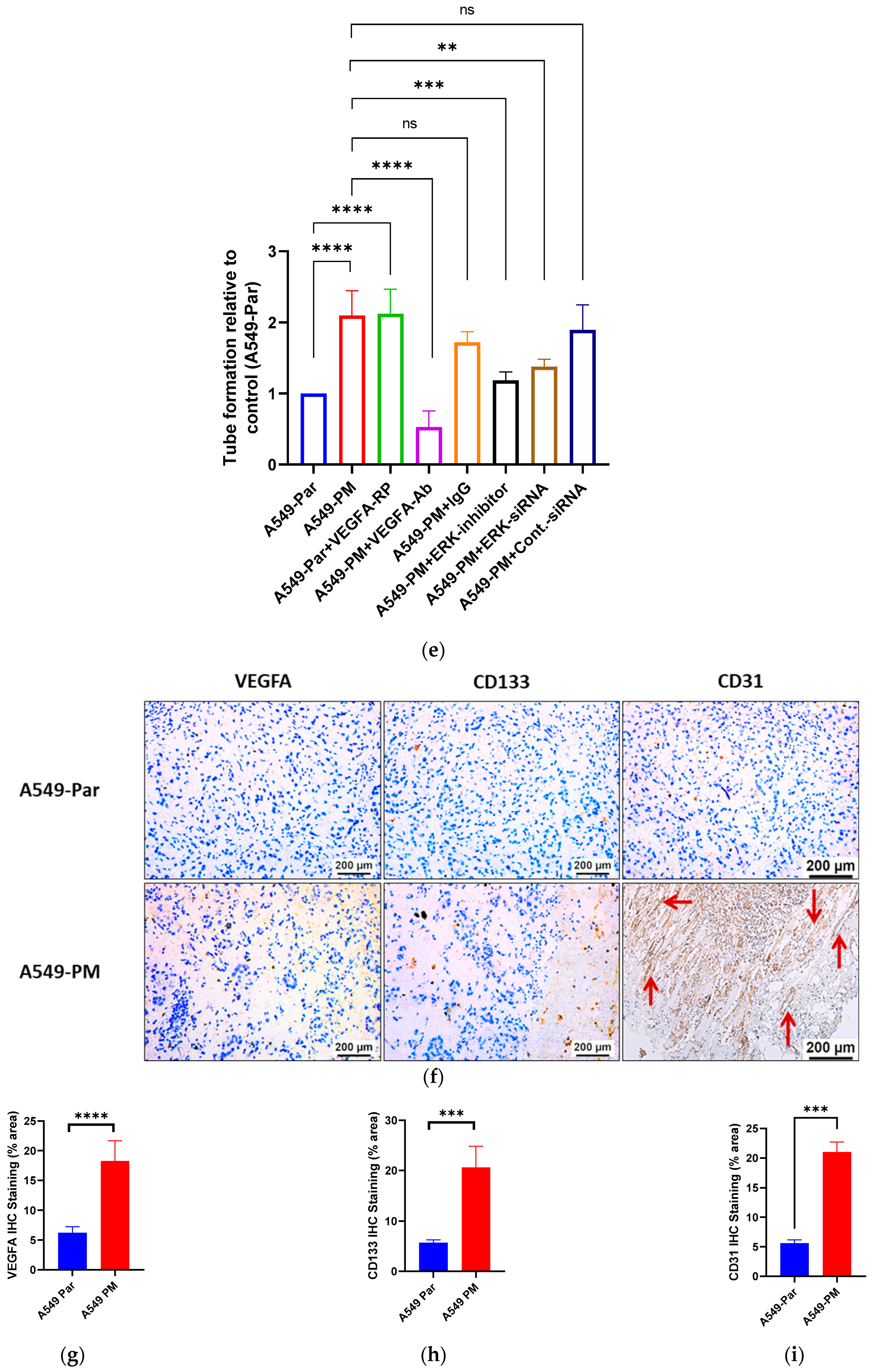 Cancers 17 02868 g004c Cancers 17 02868 g004c