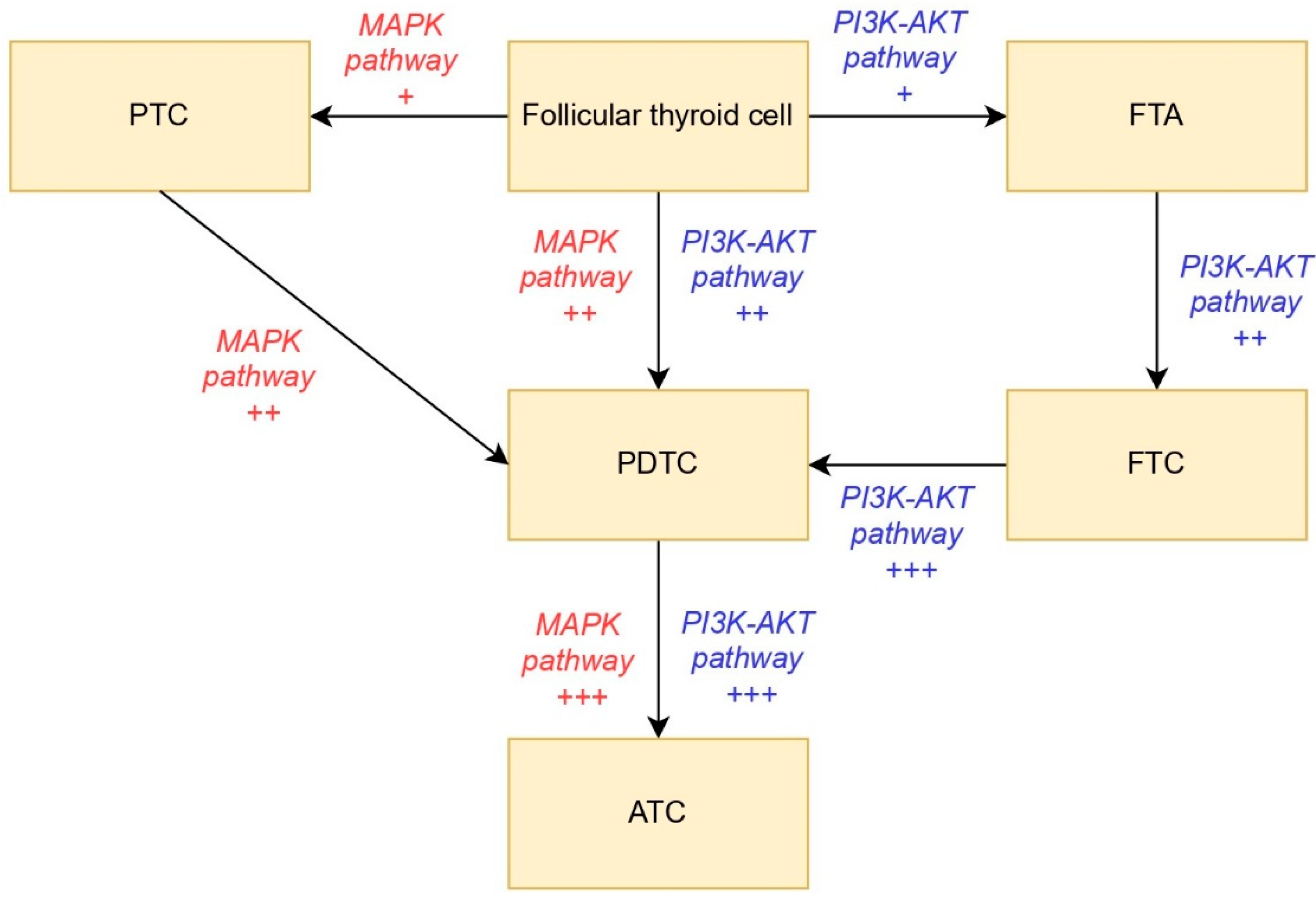 Cancers 17 02869 g004