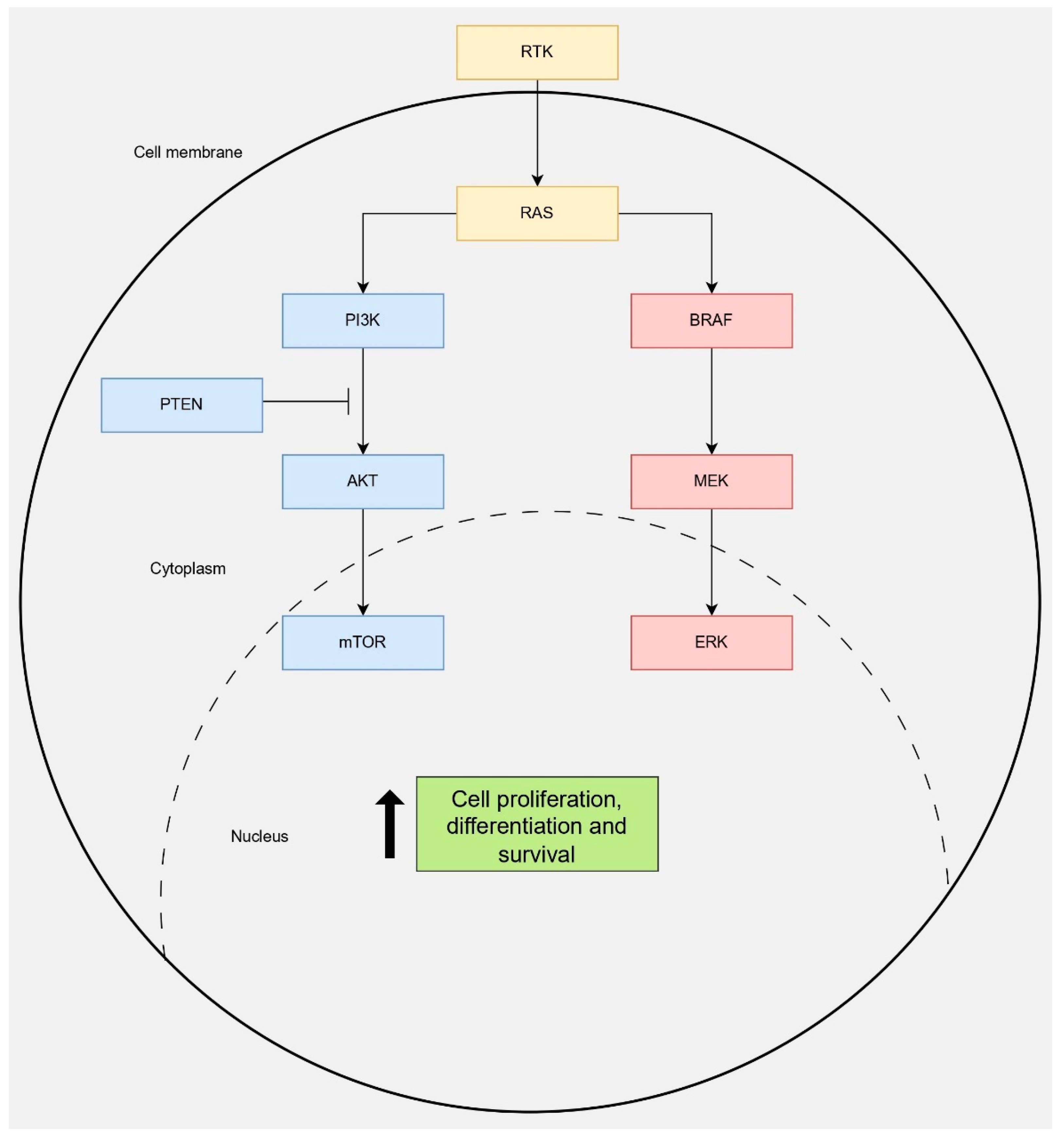 Cancers 17 02869 g005