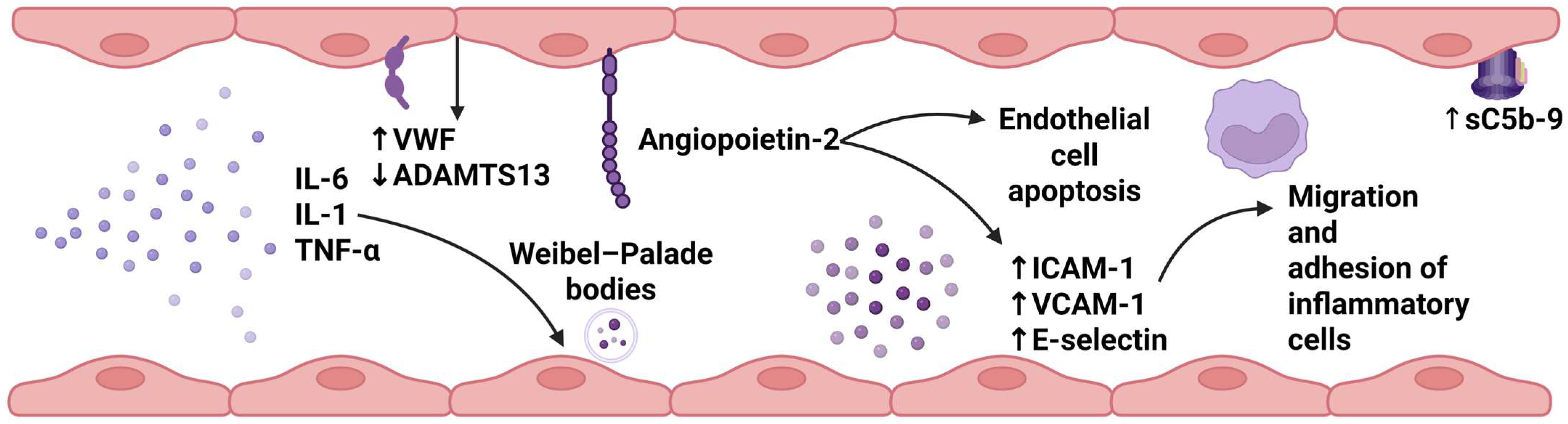 Cancers 17 02876 g001 Cancers 17 02876 g001
