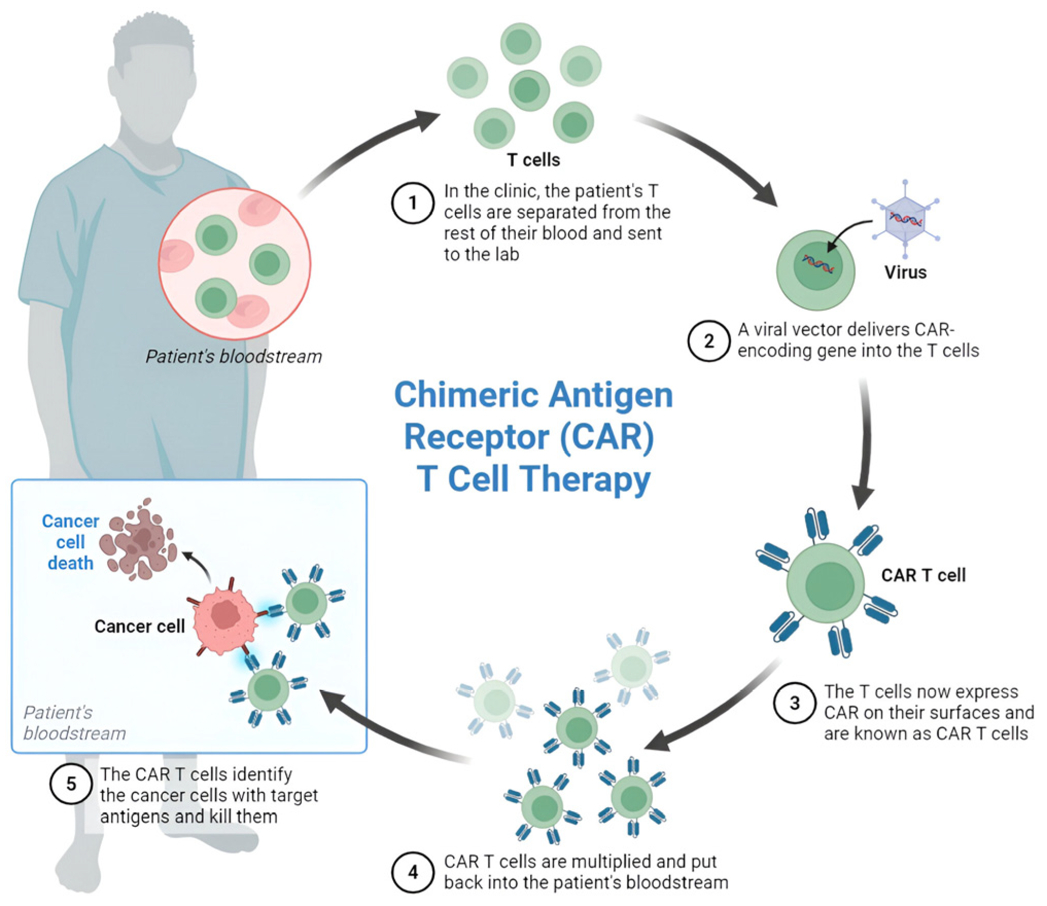 Cancers 17 02898 g001 Cancers 17 02898 g001