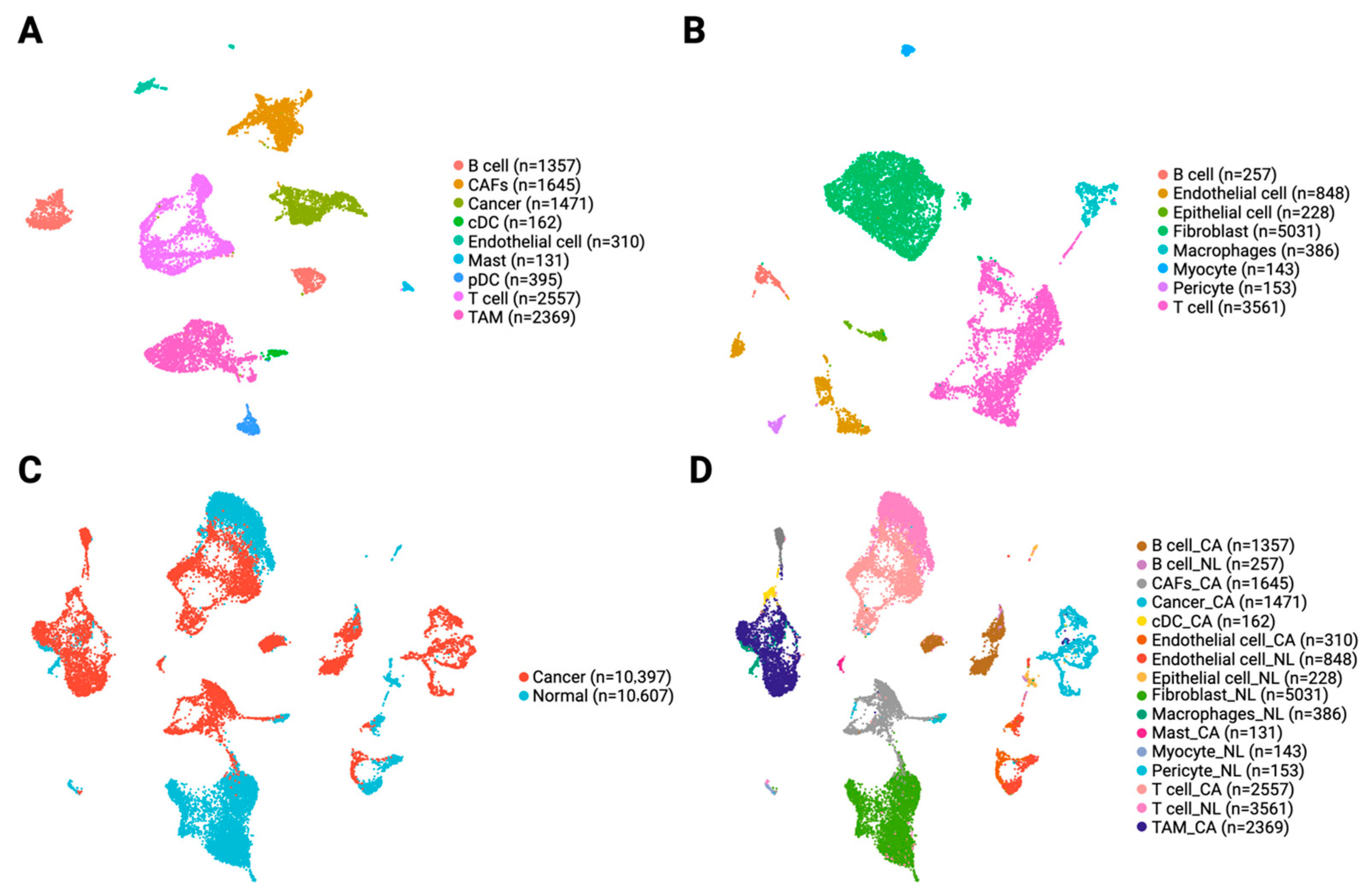 Cancers 17 02905 g002