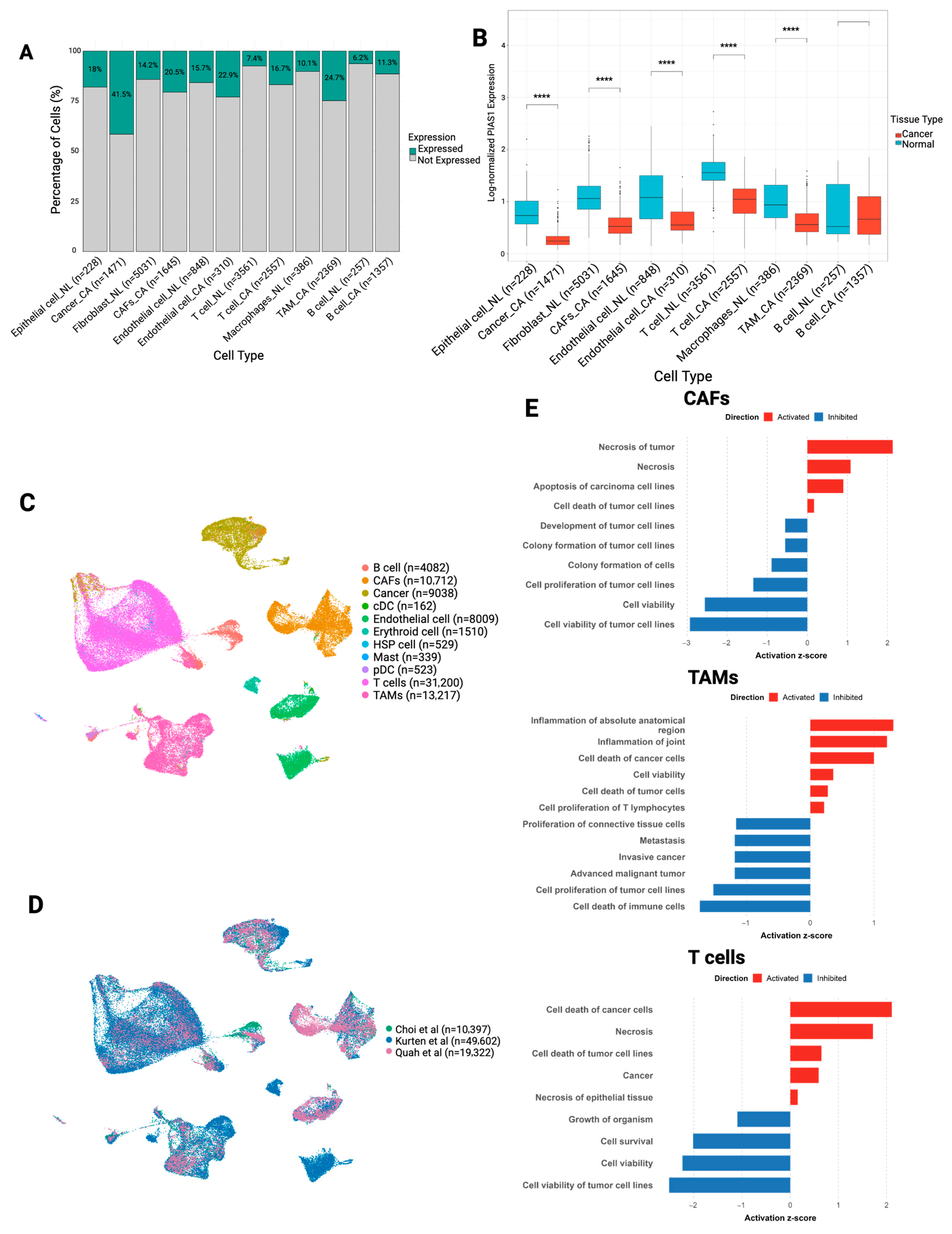 Cancers 17 02905 g003
