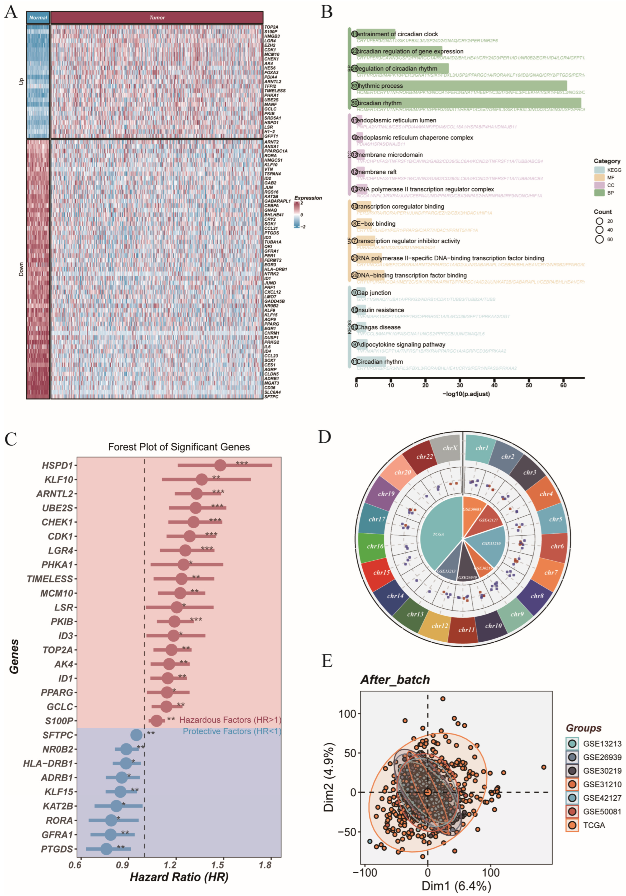Cancers 17 02911 g001 Cancers 17 02911 g001