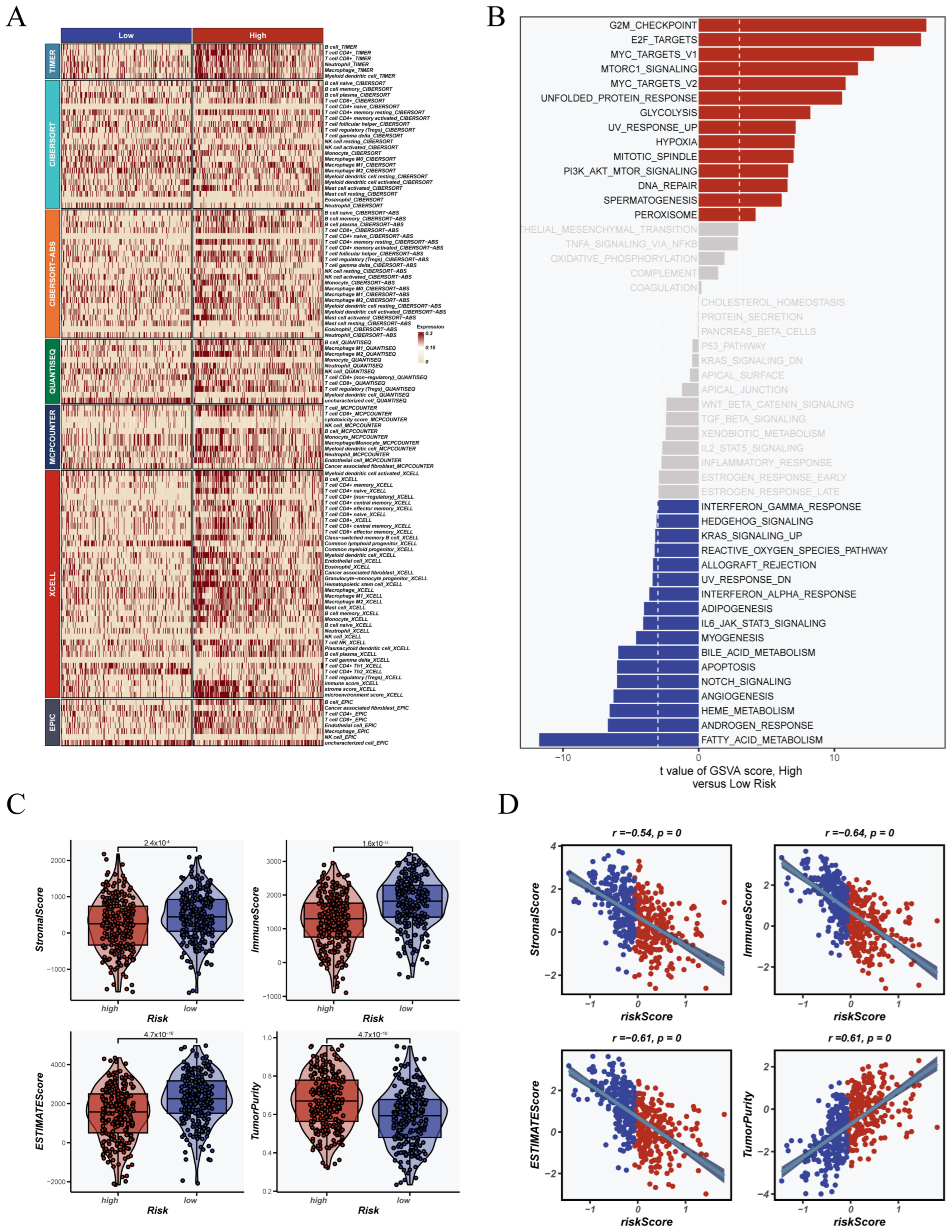 Cancers 17 02911 g005 Cancers 17 02911 g005