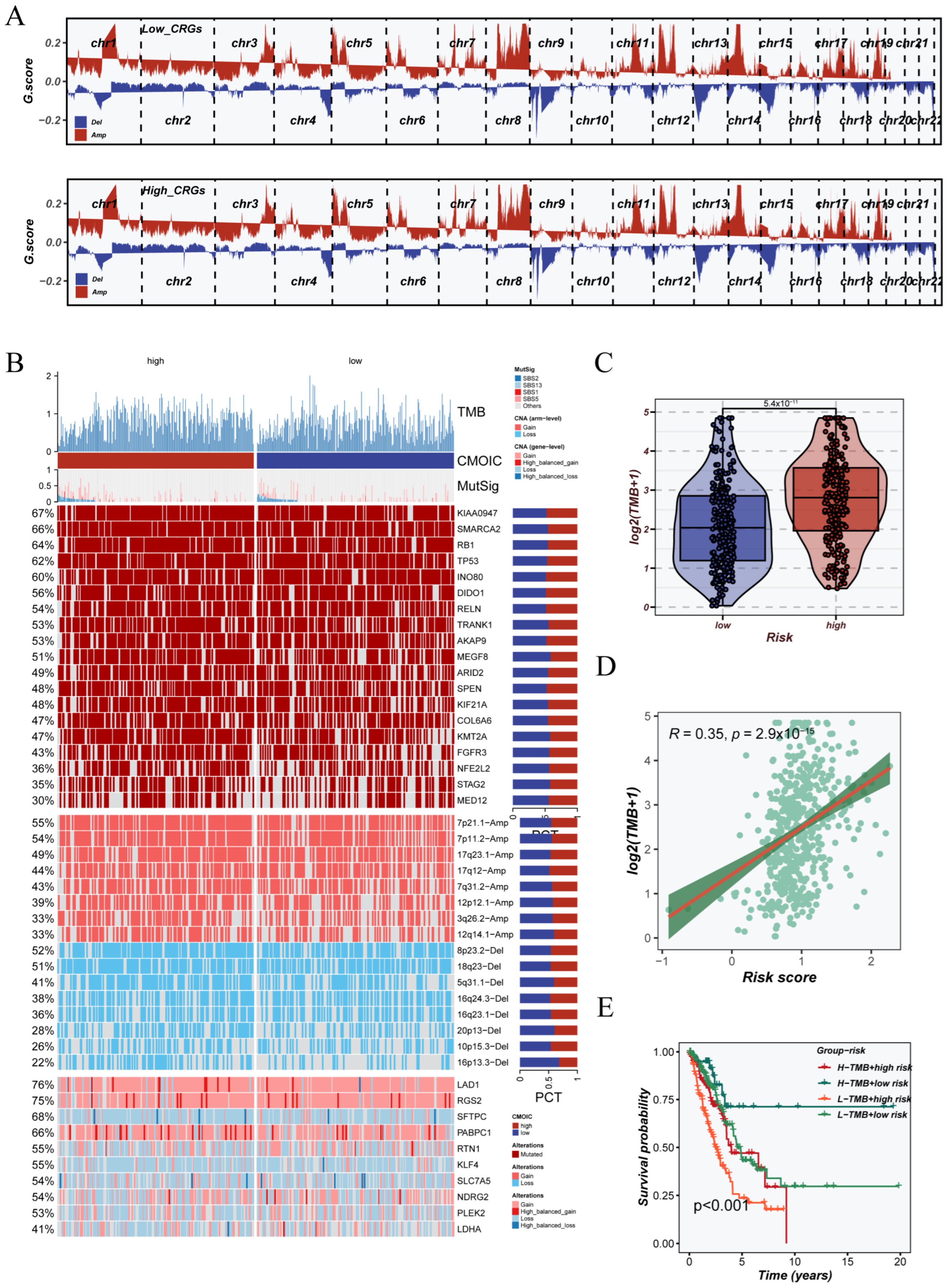 Cancers 17 02911 g008 Cancers 17 02911 g008