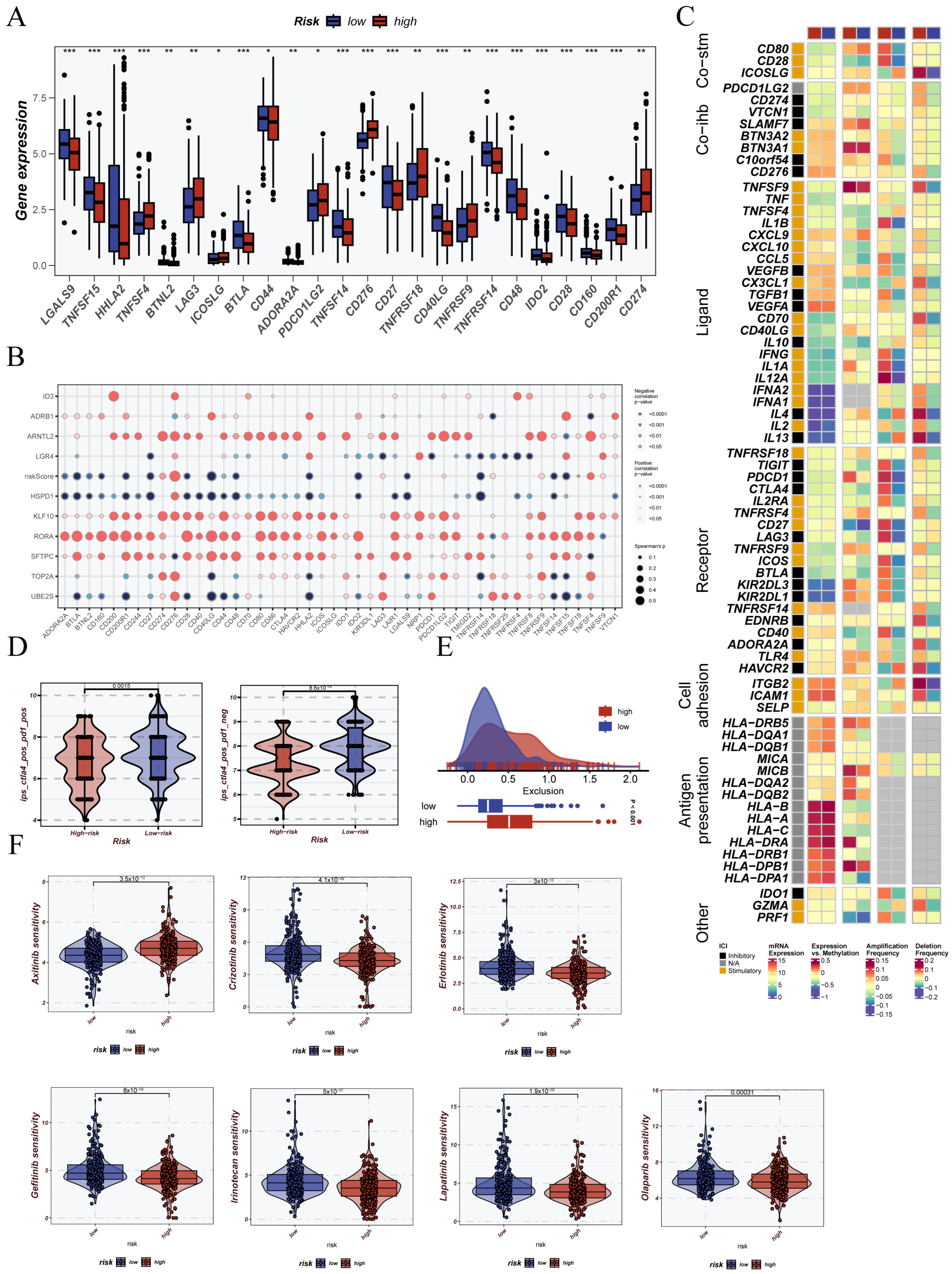 Cancers 17 02911 g009 Cancers 17 02911 g009