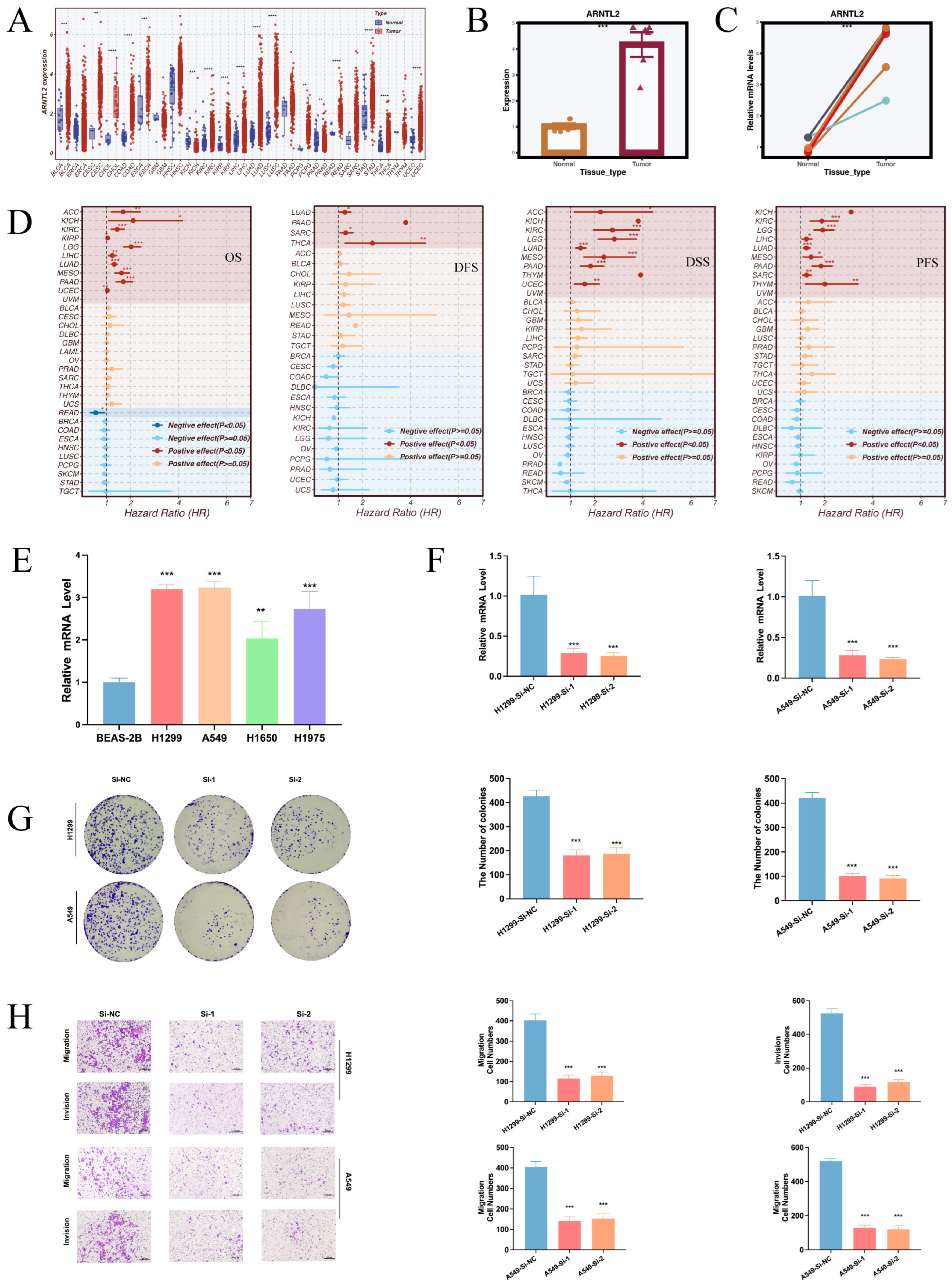 Cancers 17 02911 g010 Cancers 17 02911 g010