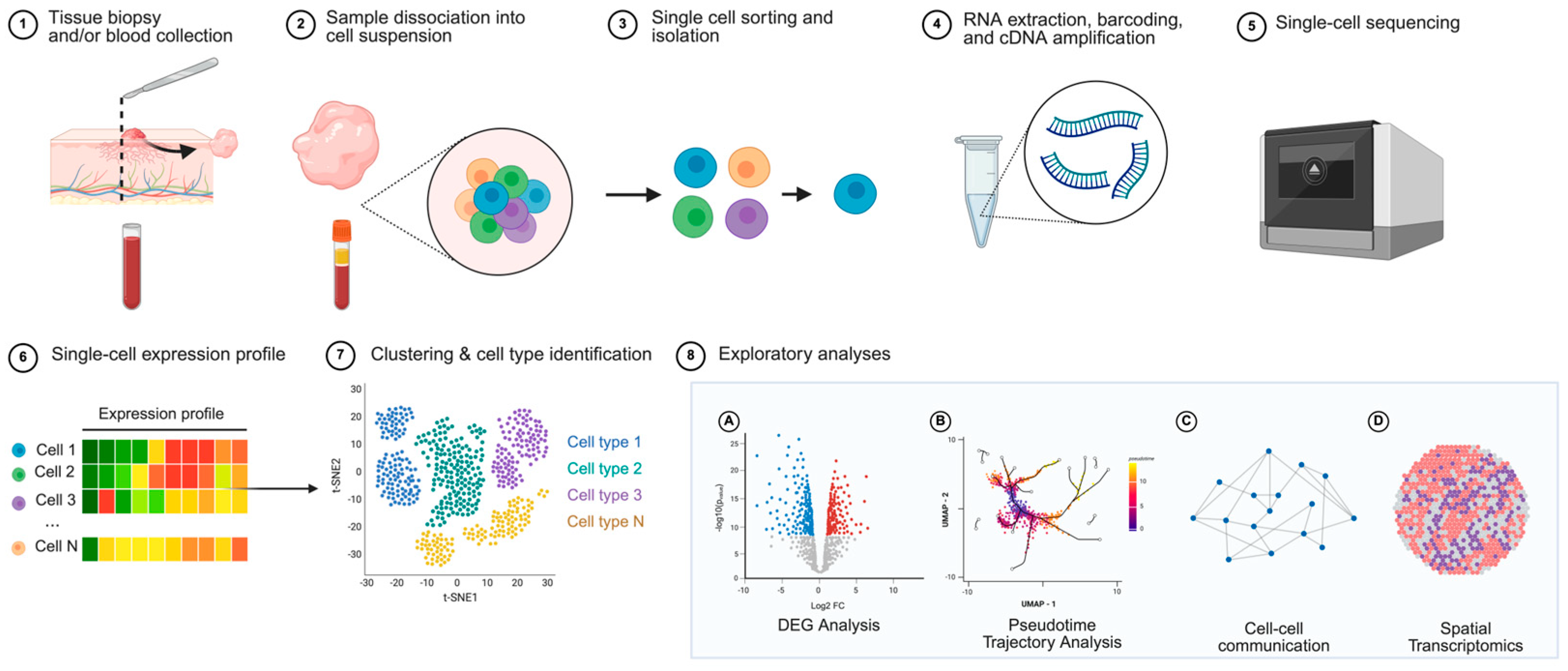 Cancers 17 02921 g001 Cancers 17 02921 g001