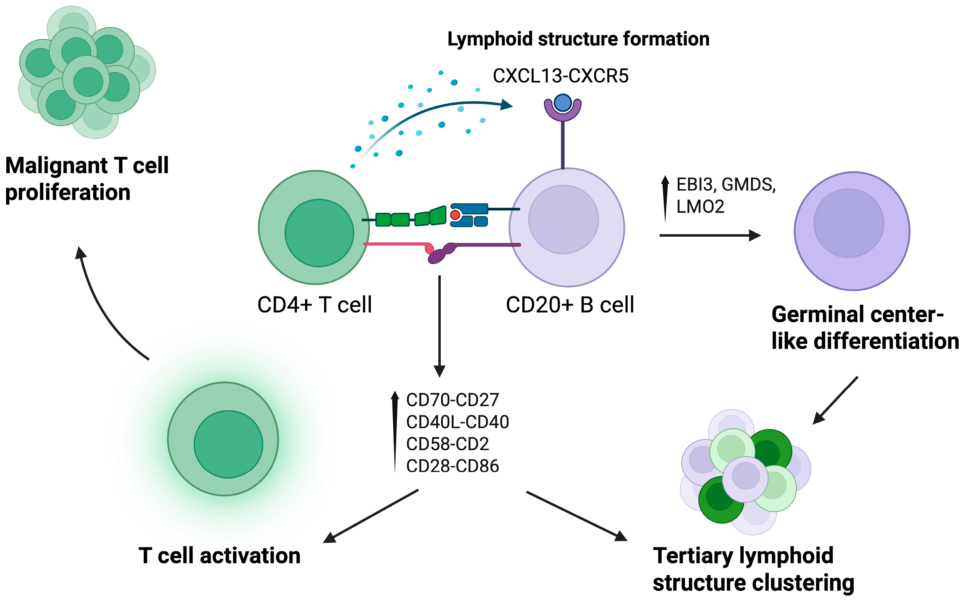 Cancers 17 02921 g005 Cancers 17 02921 g005