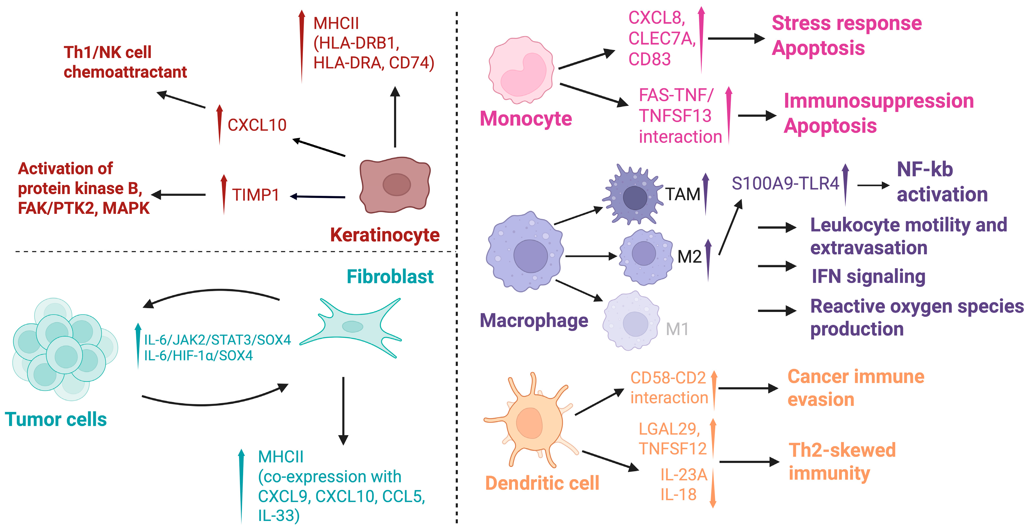 Cancers 17 02921 g006 Cancers 17 02921 g006