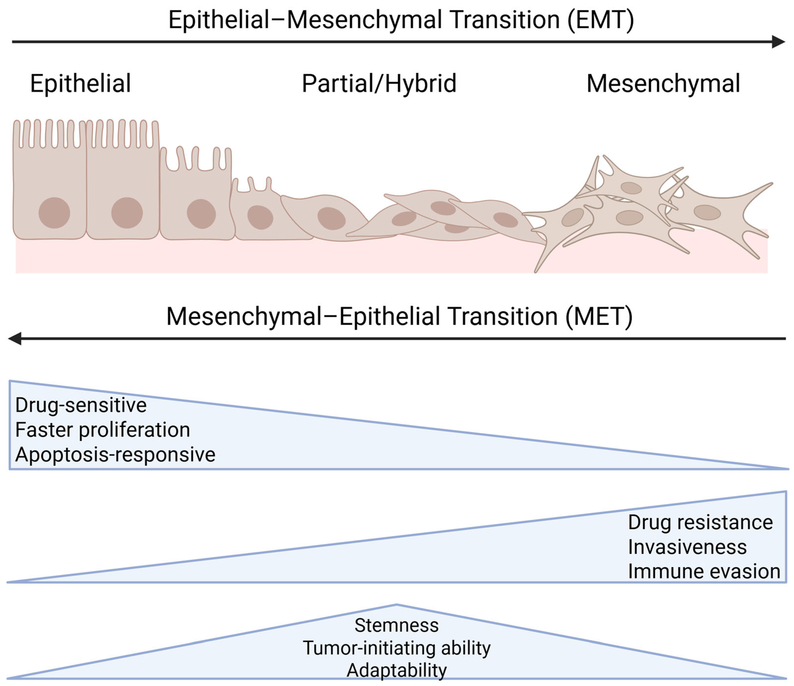 user Steering head bearing SSK-902 for Kawasaki GPX GPZ GTR KLR