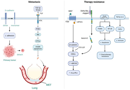 102-G様 NIKE エアマックス90エッセンシャル ホワイト 27.5cm NIKE ナイキ
