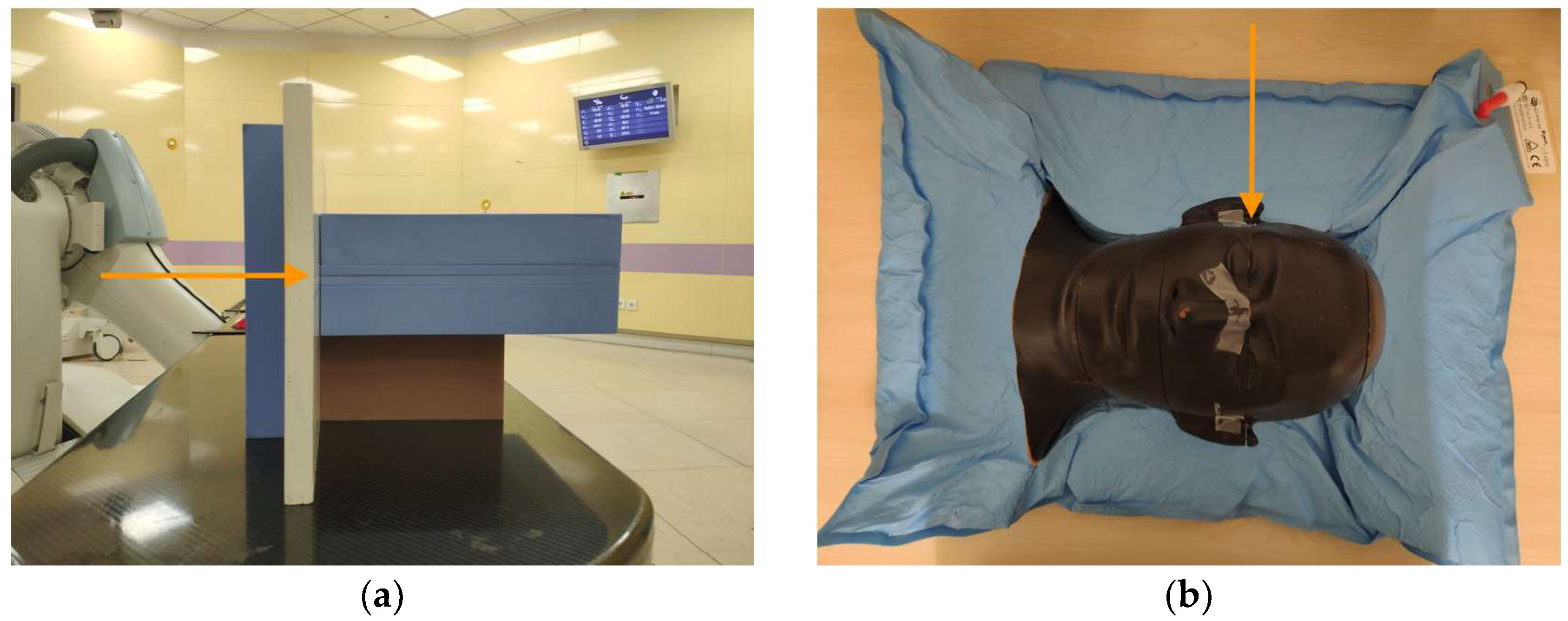 Cancers 17 02927 g004