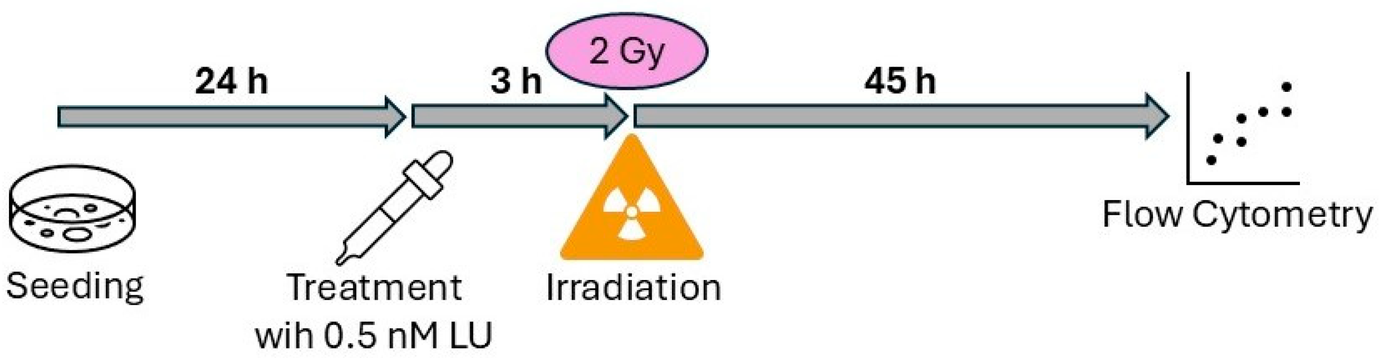 Cancers 17 02930 g001