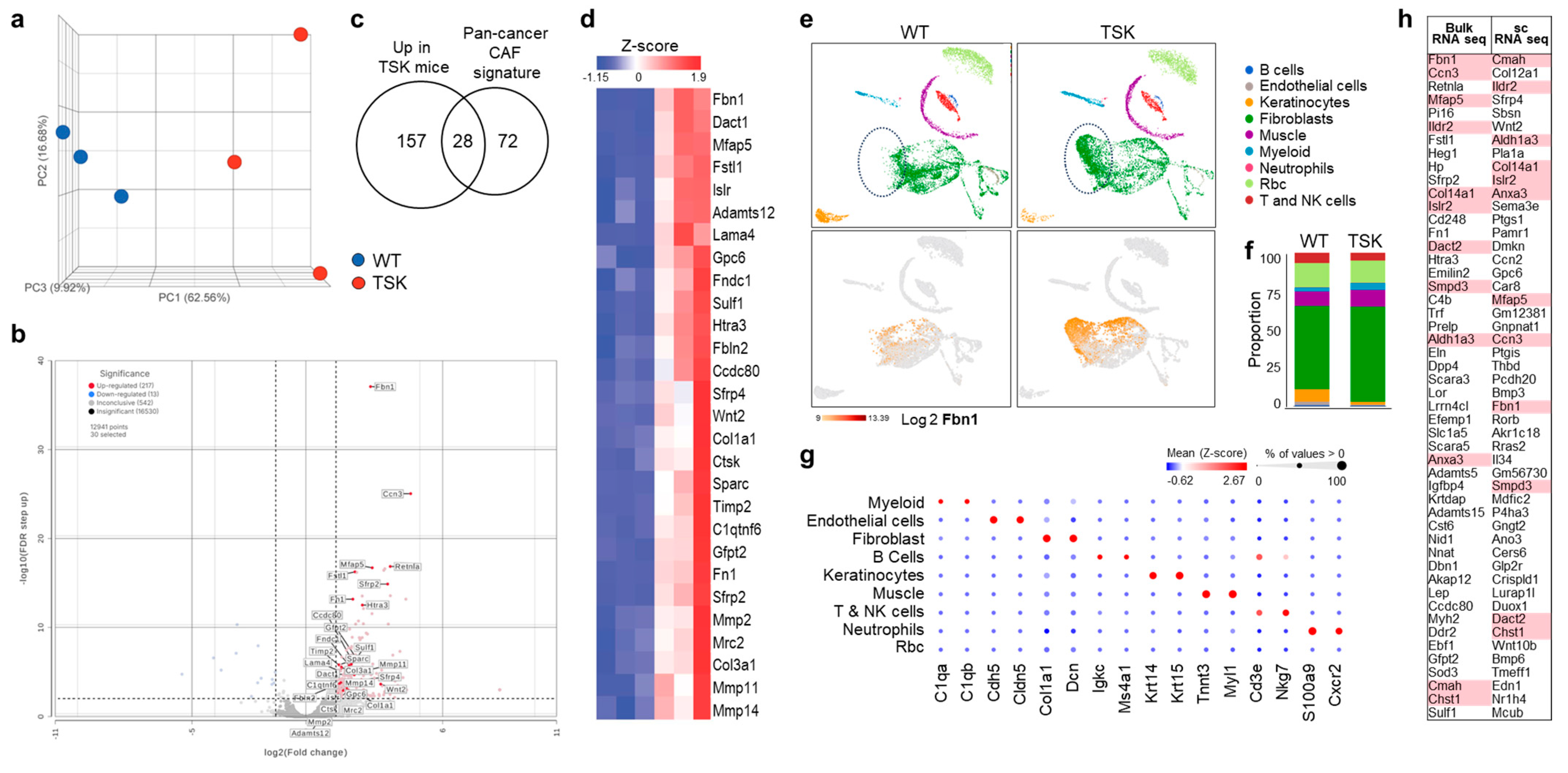Cancers 17 02943 g001 Cancers 17 02943 g001