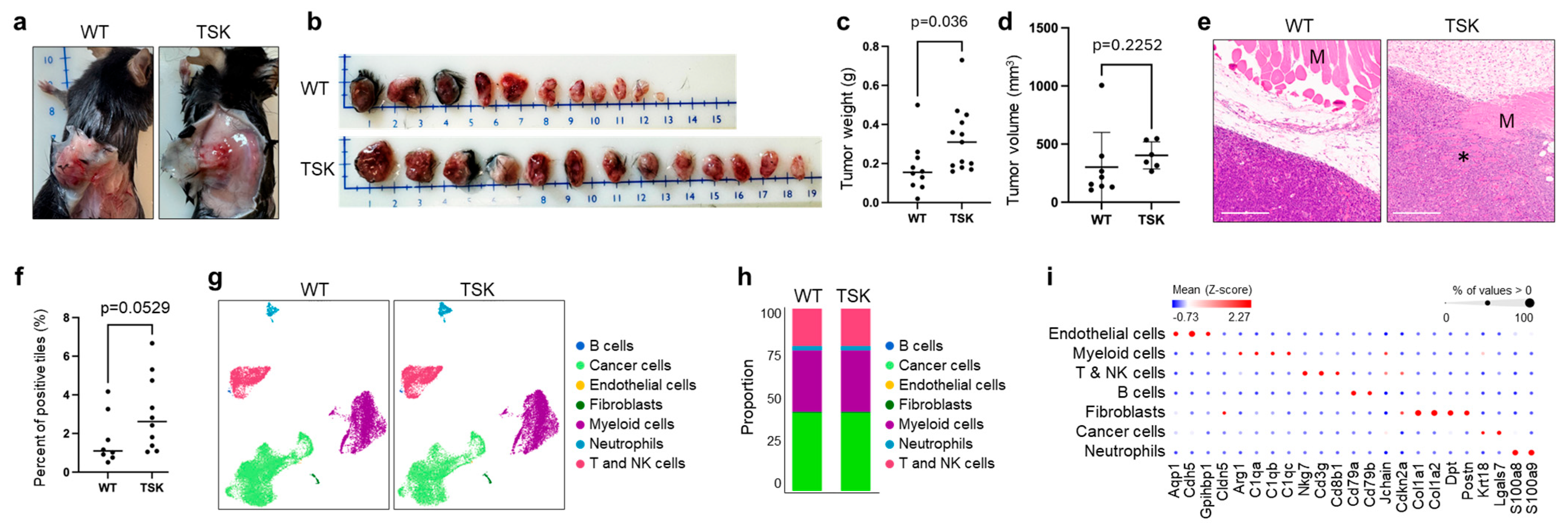 Cancers 17 02943 g003 Cancers 17 02943 g003