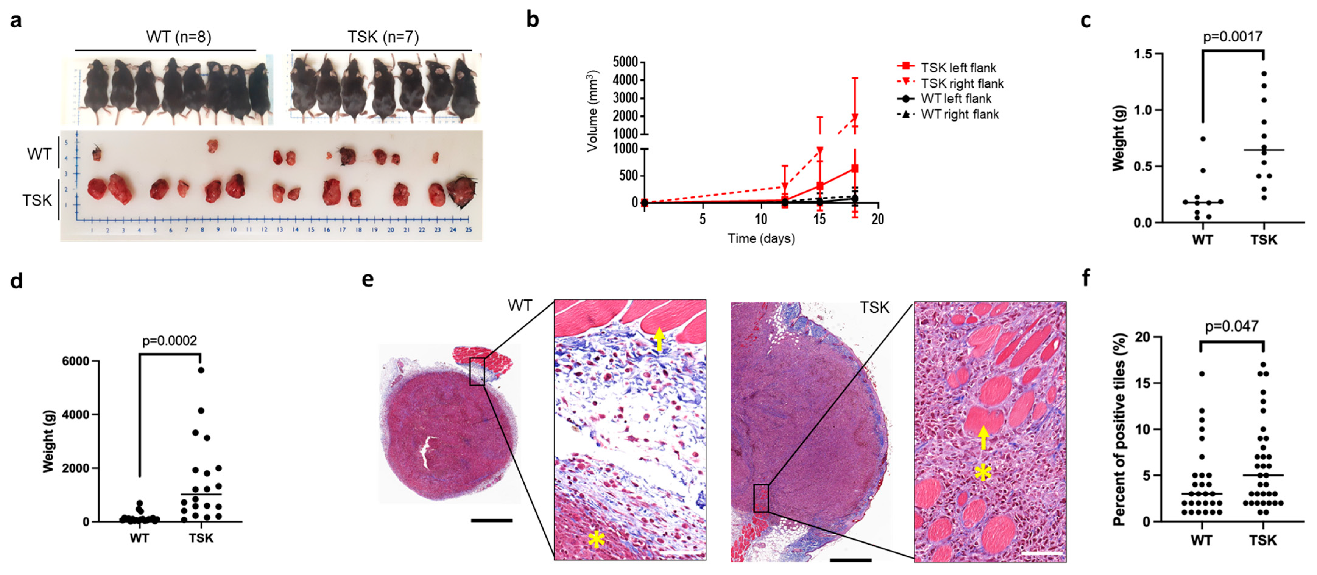 Cancers 17 02943 g004 Cancers 17 02943 g004