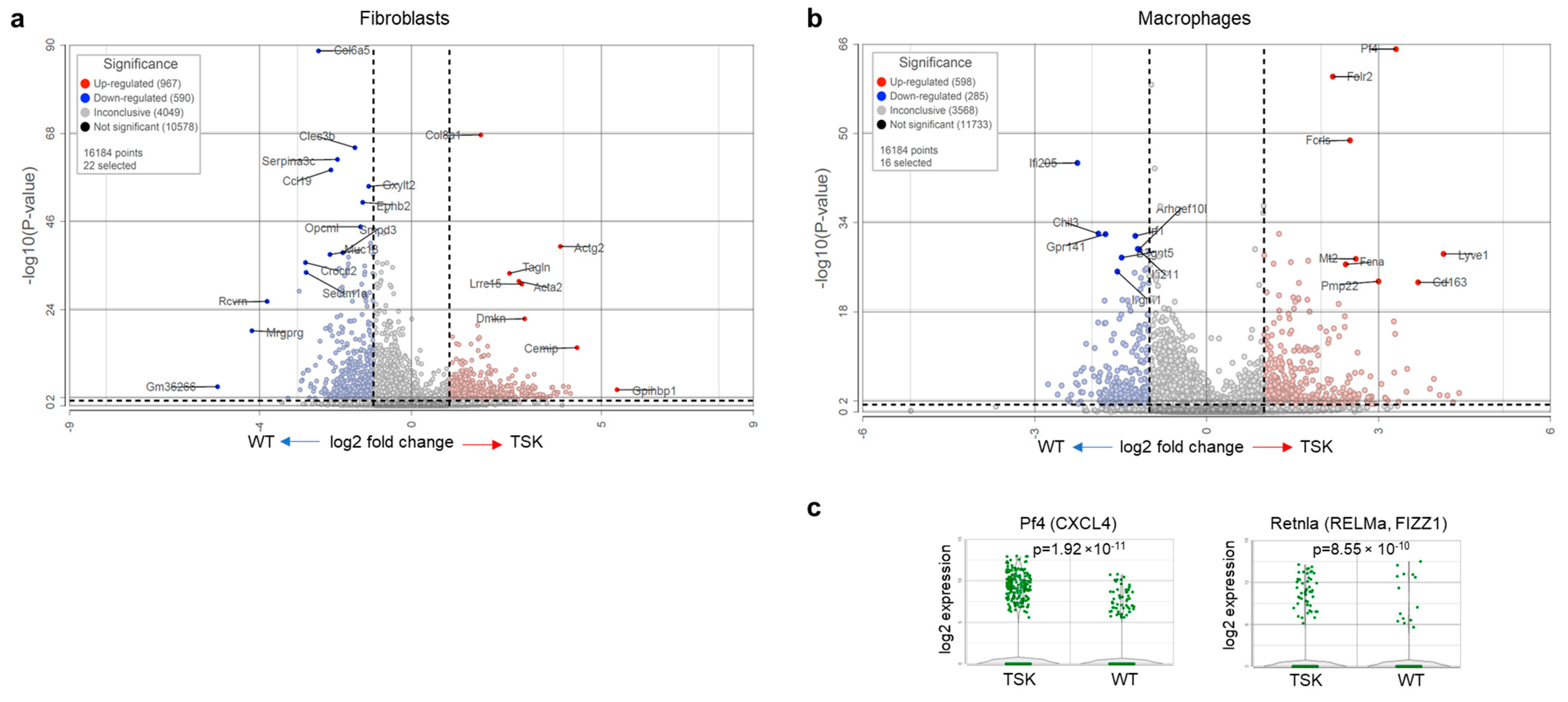 Cancers 17 02943 g007 Cancers 17 02943 g007