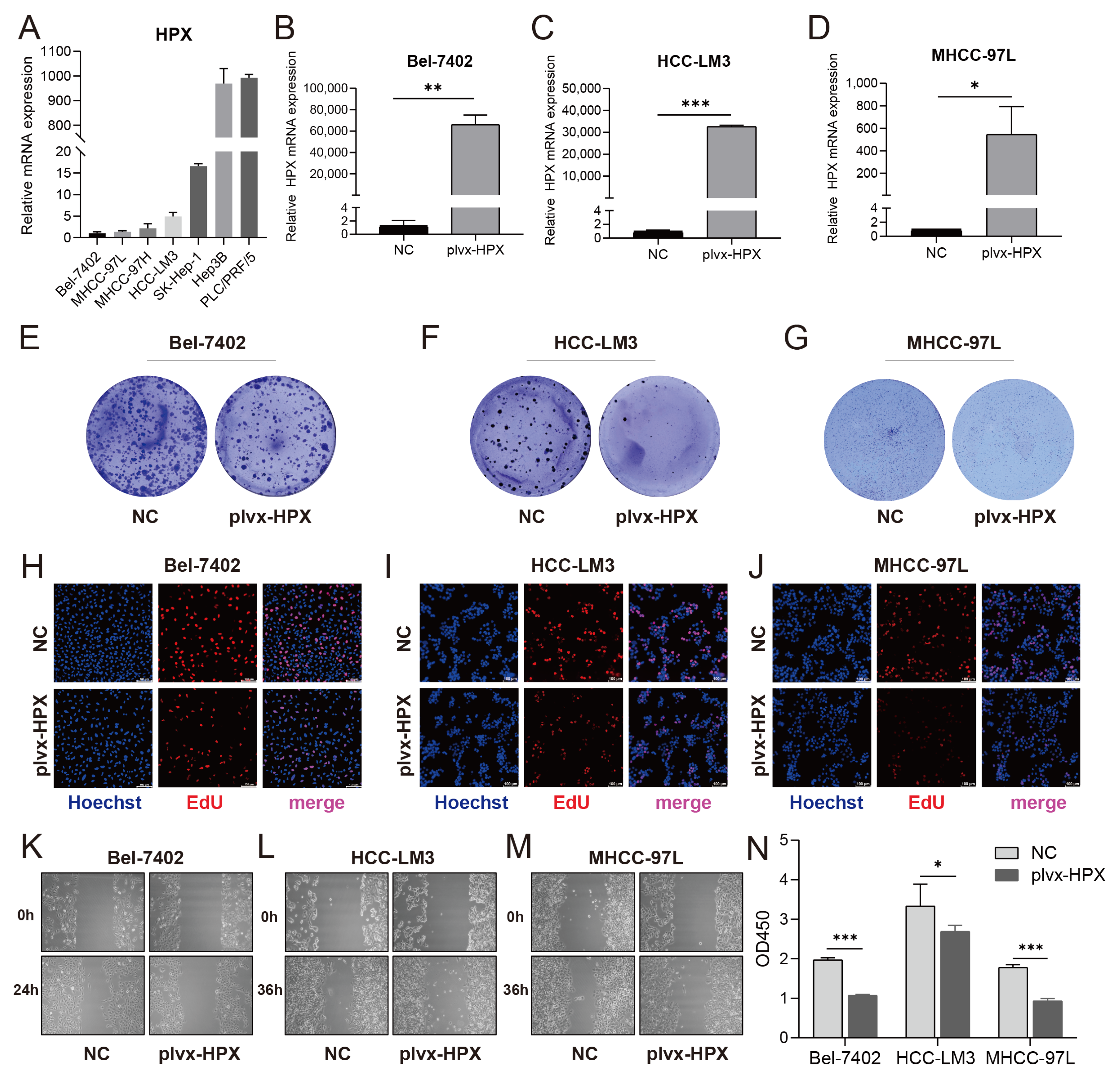 Cancers 17 02969 g005