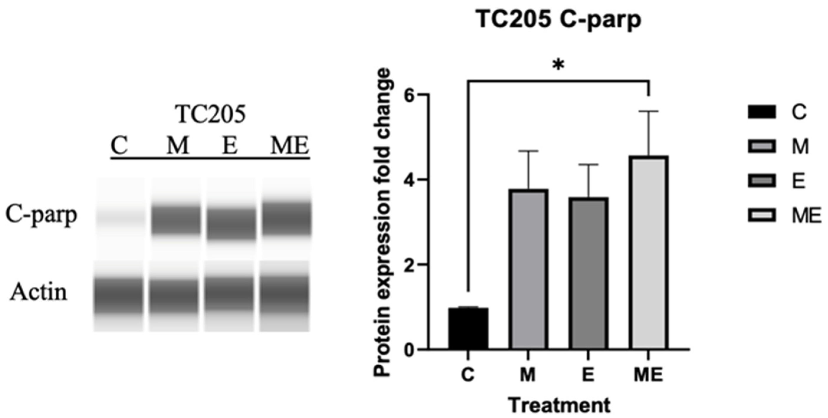 Cancers 17 02977 g006