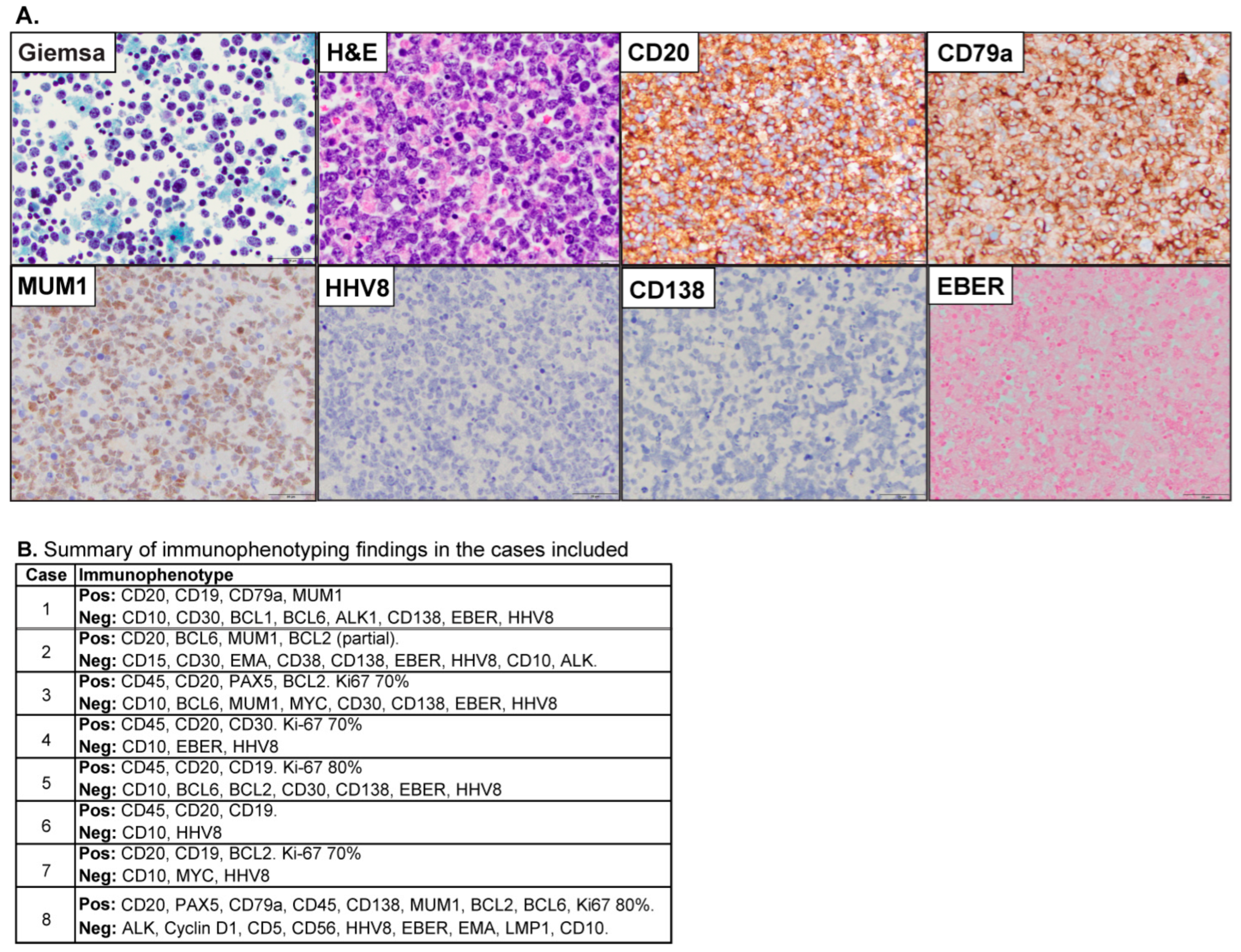 Cancers 17 02978 g001 Cancers 17 02978 g001