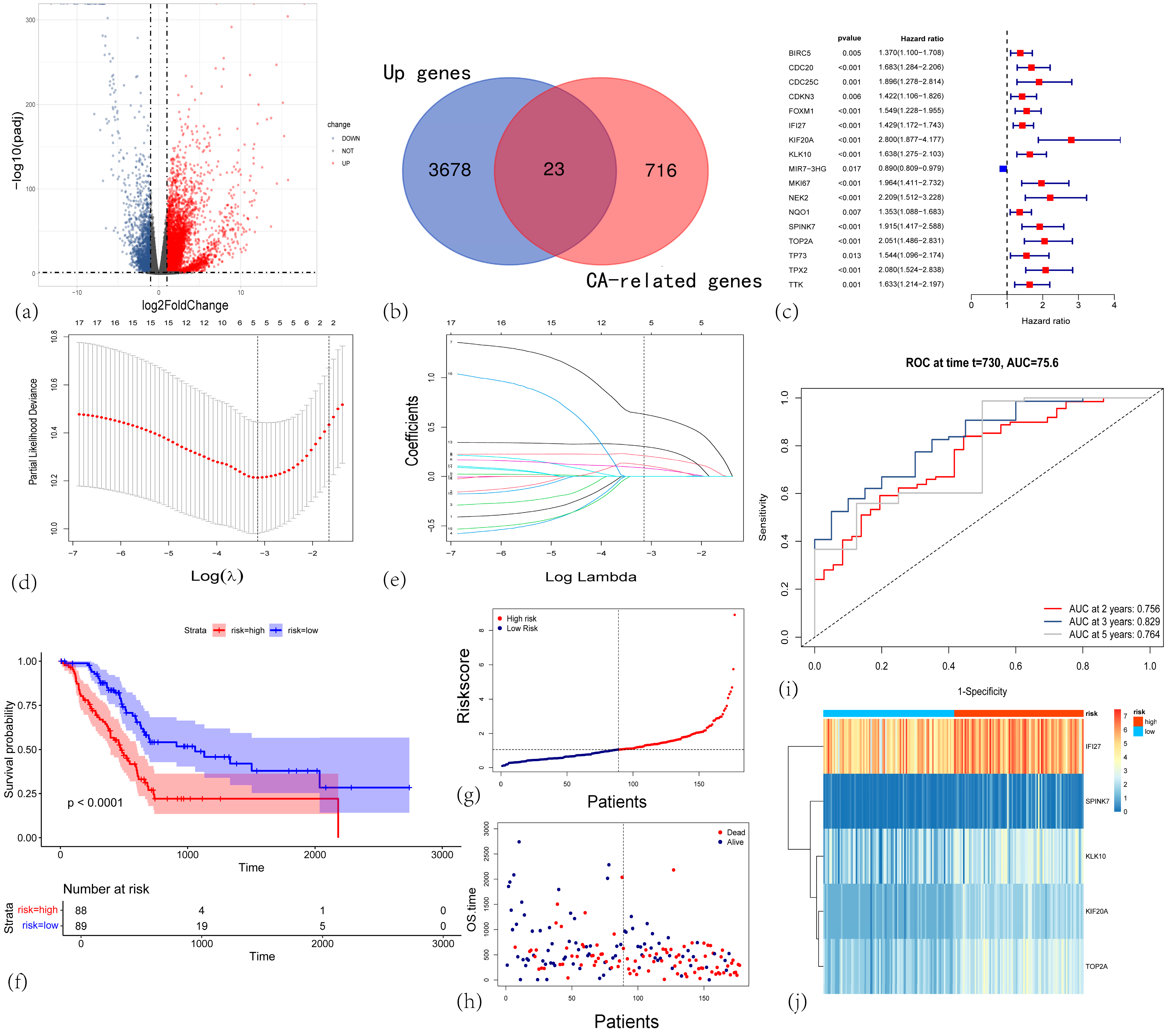 Cancers 17 02983 g001 Cancers 17 02983 g001