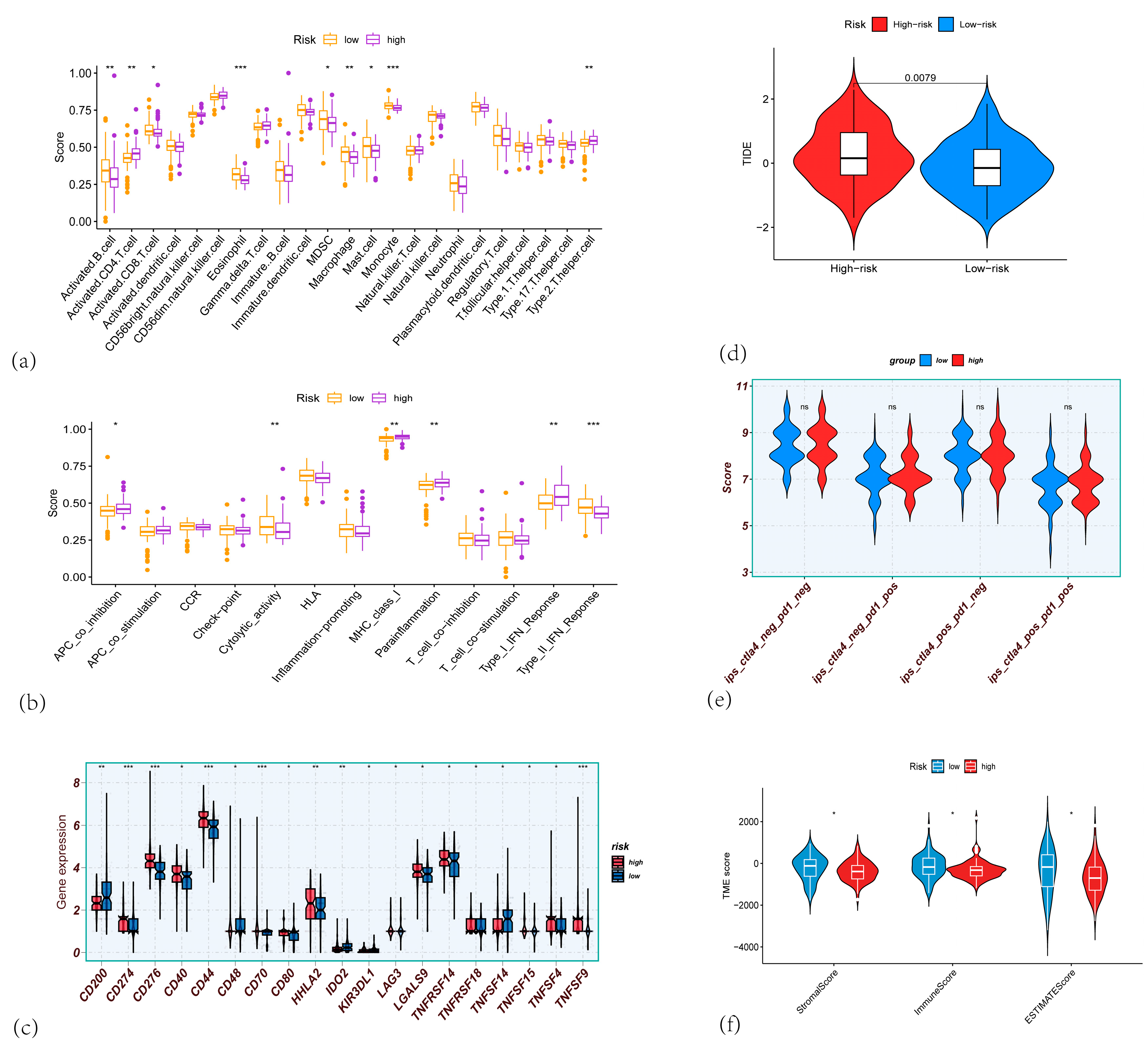 Cancers 17 02983 g006 Cancers 17 02983 g006