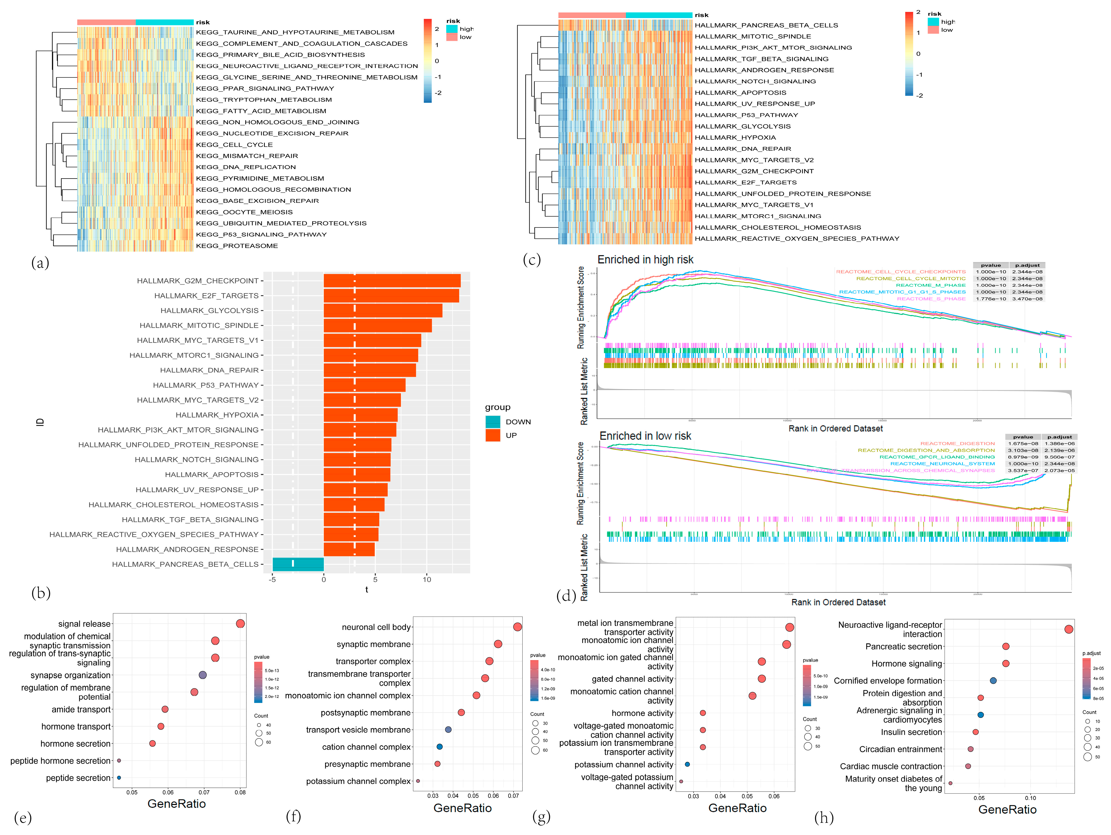 Cancers 17 02983 g007 Cancers 17 02983 g007