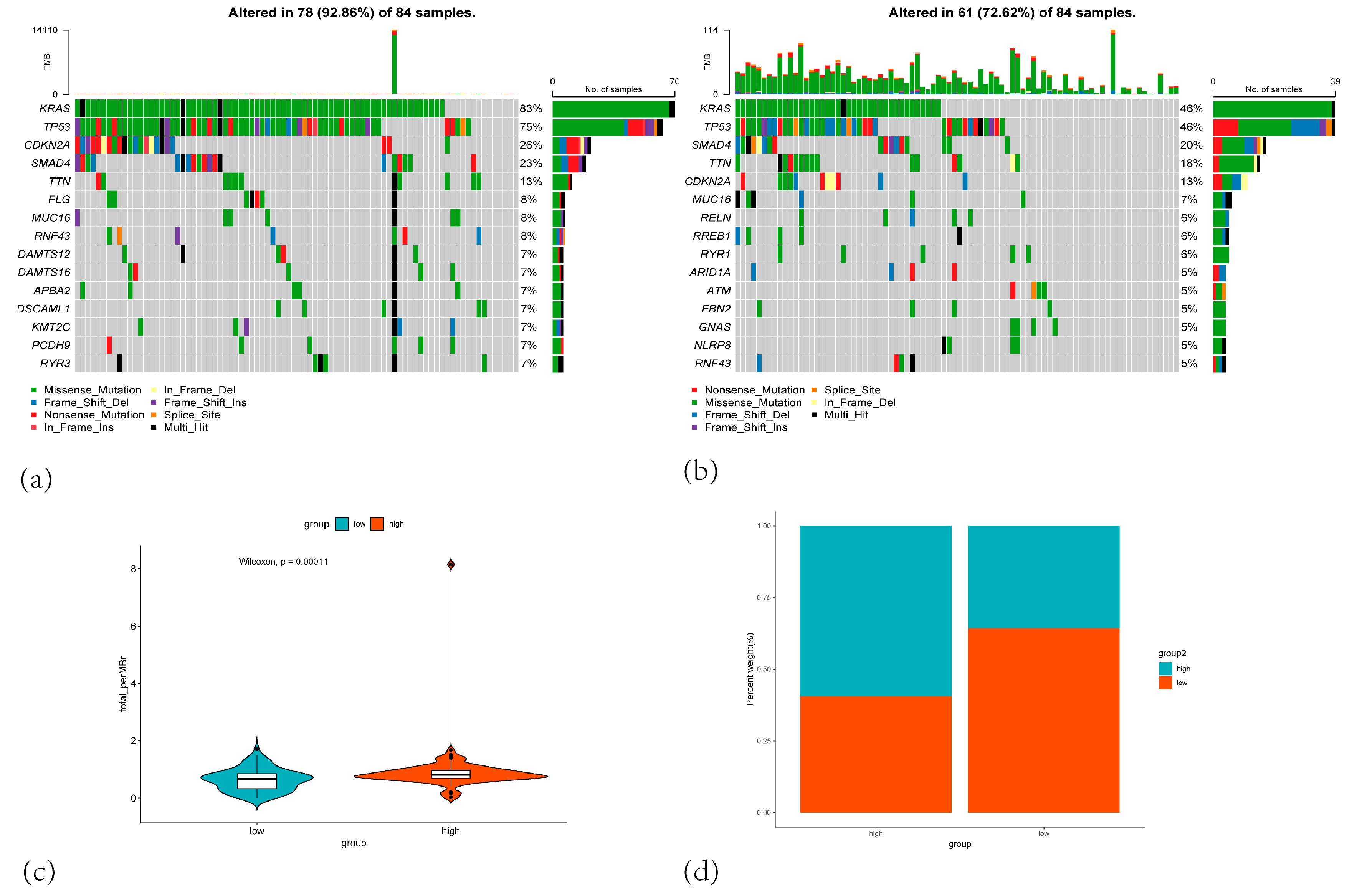 Cancers 17 02983 g008 Cancers 17 02983 g008