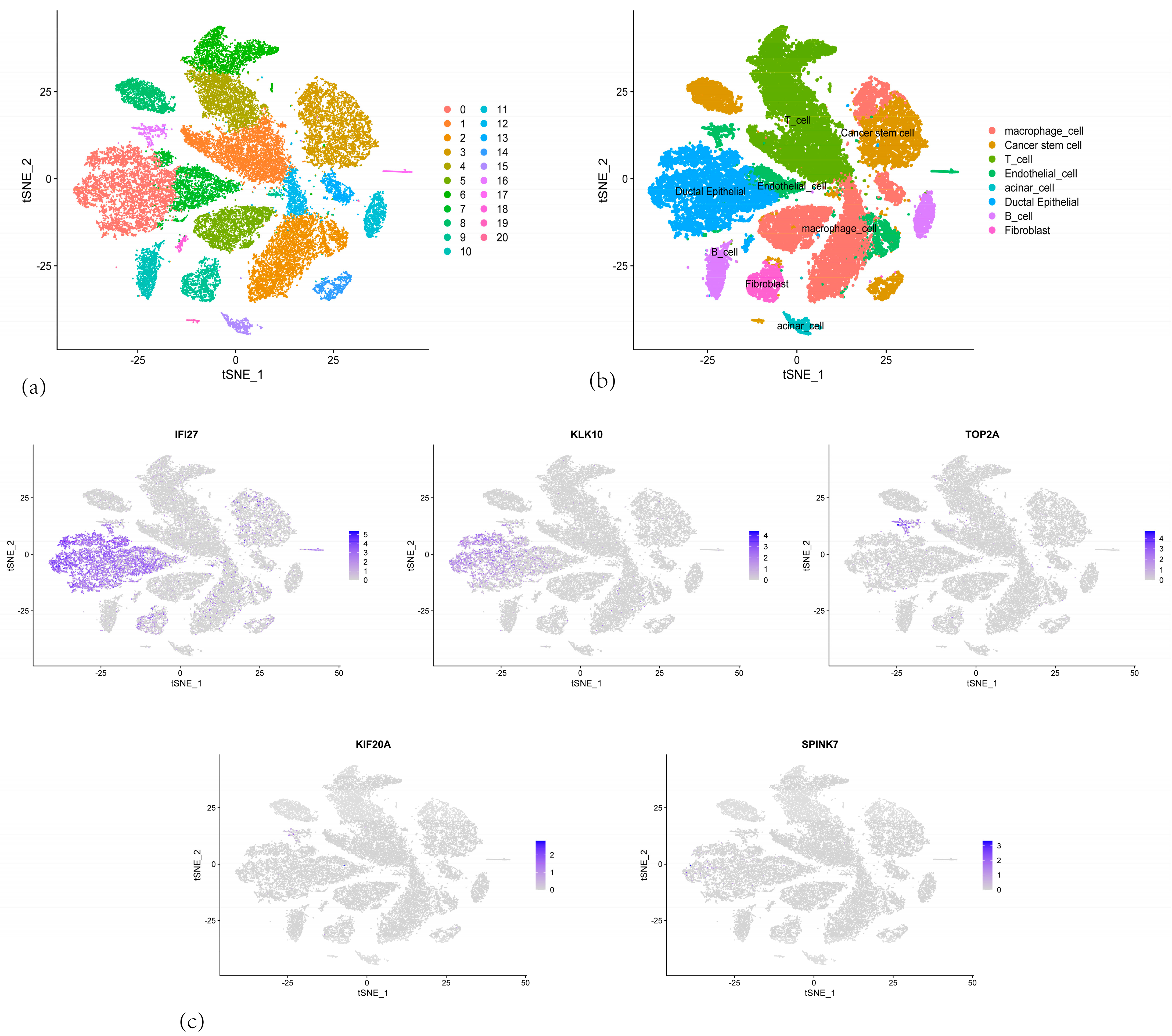 Cancers 17 02983 g010 Cancers 17 02983 g010