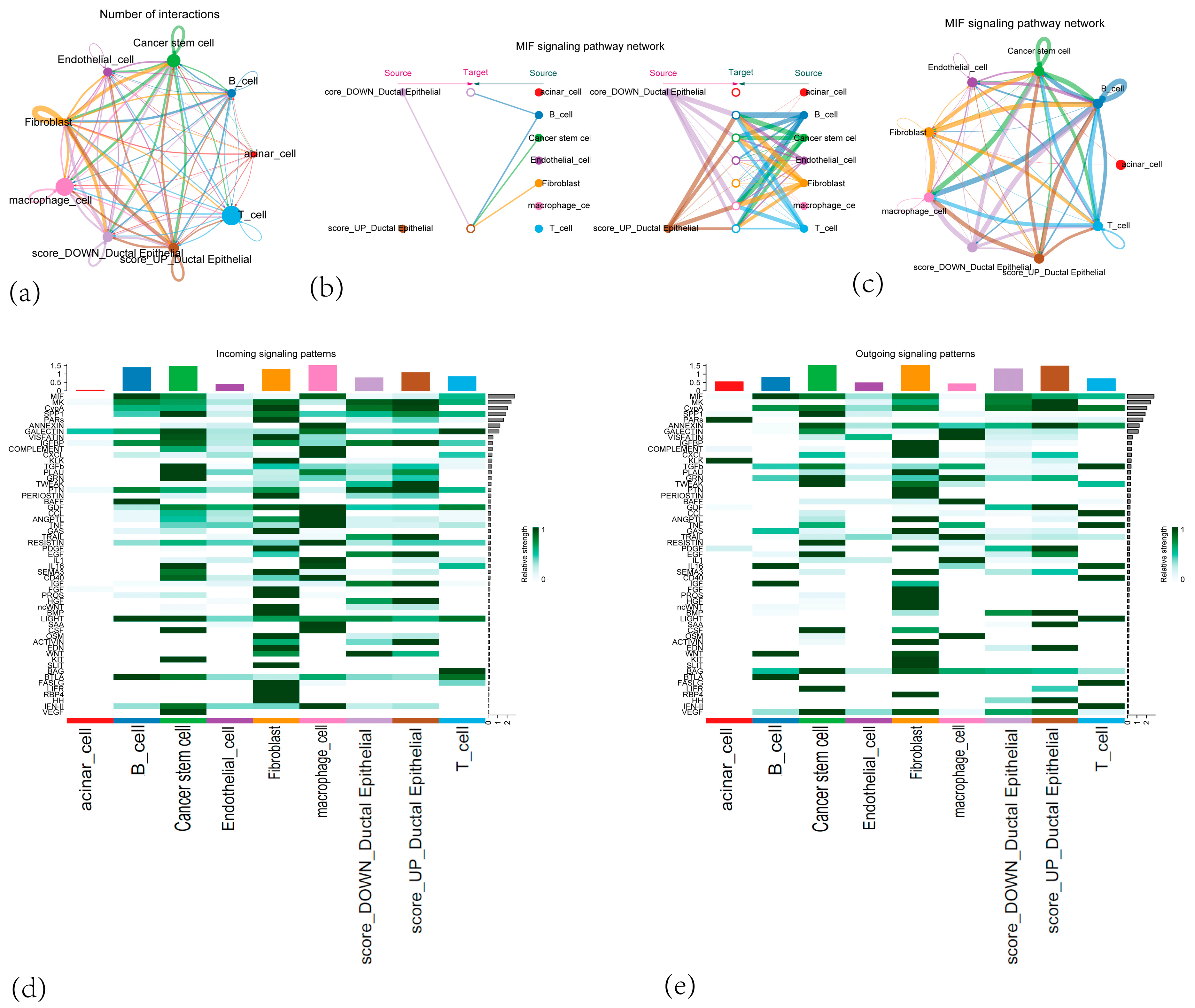 Cancers 17 02983 g011 Cancers 17 02983 g011
