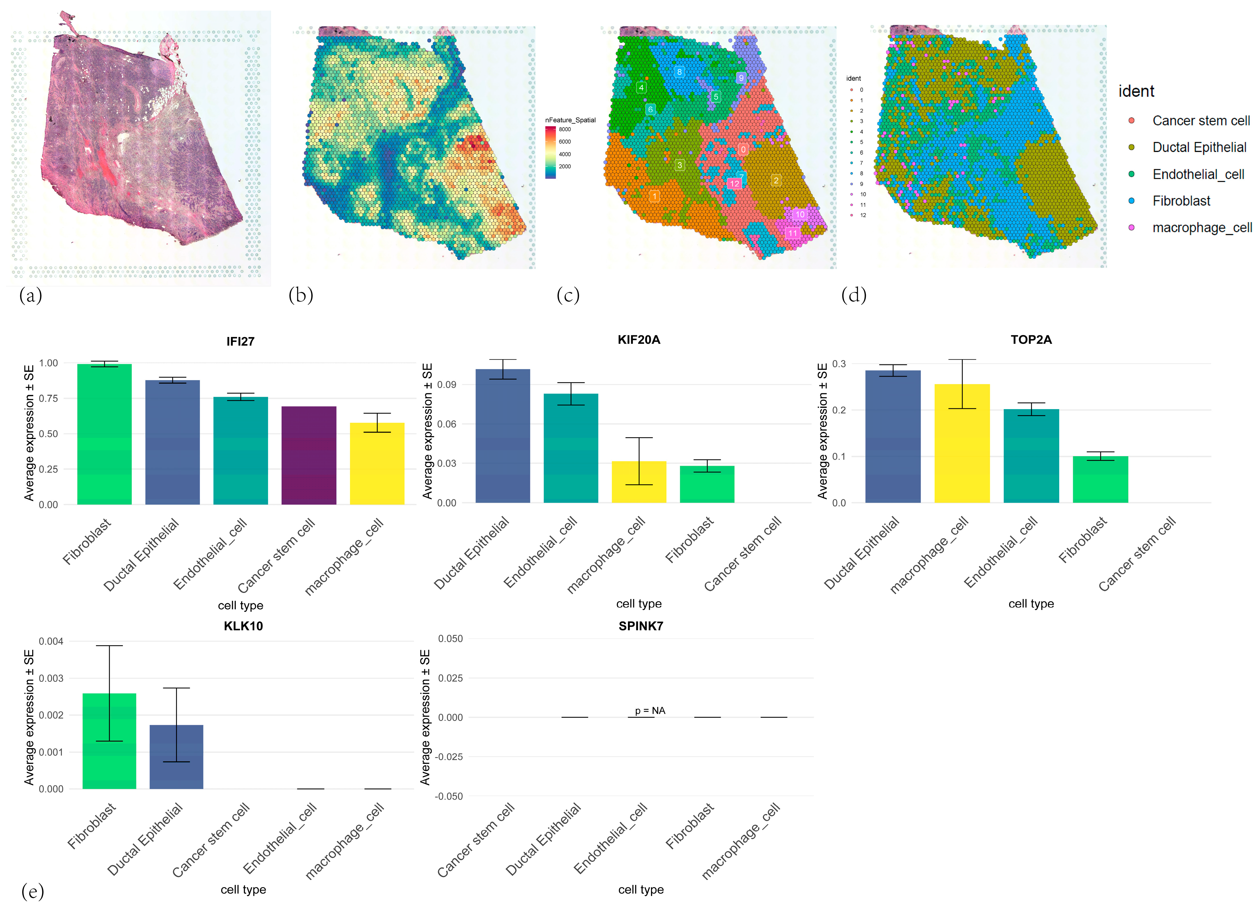 Cancers 17 02983 g012 Cancers 17 02983 g012