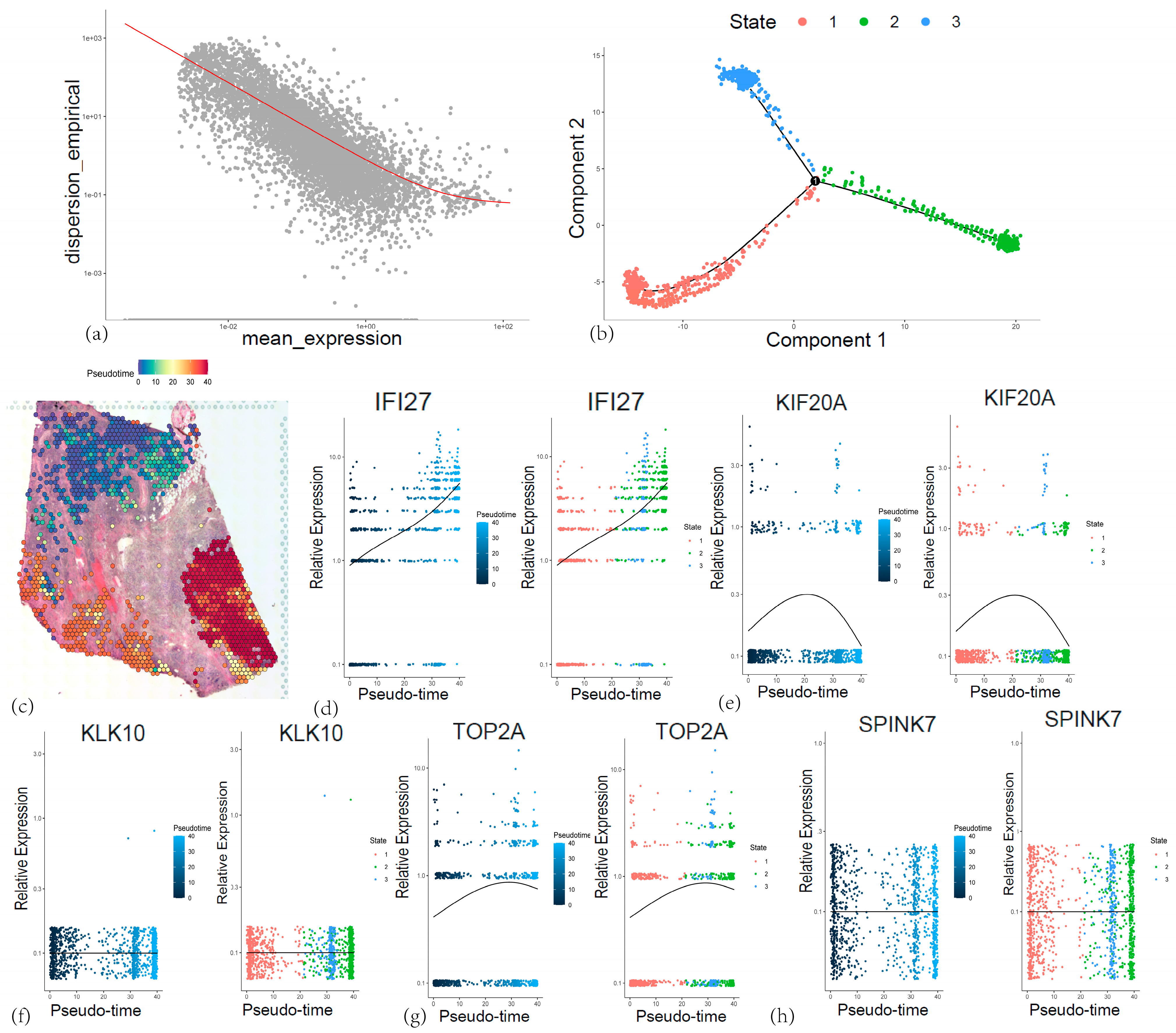 Cancers 17 02983 g014 Cancers 17 02983 g014