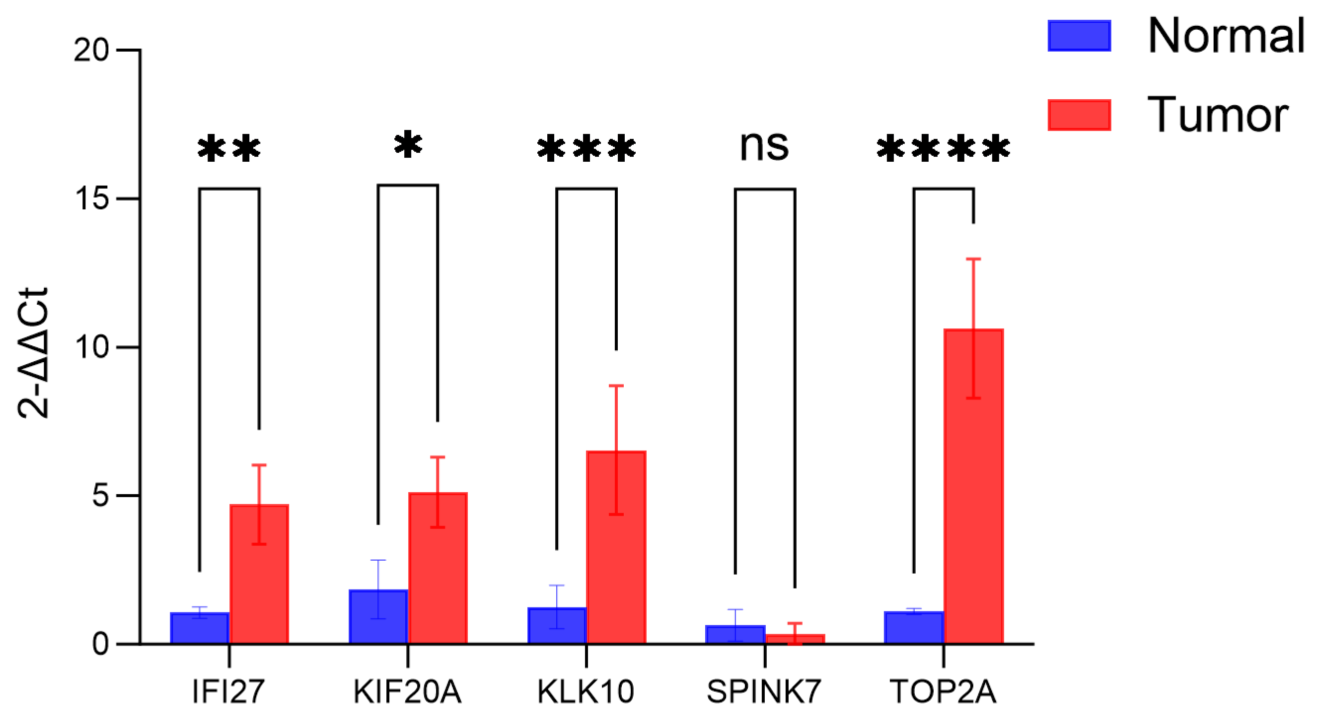 Cancers 17 02983 g015 Cancers 17 02983 g015