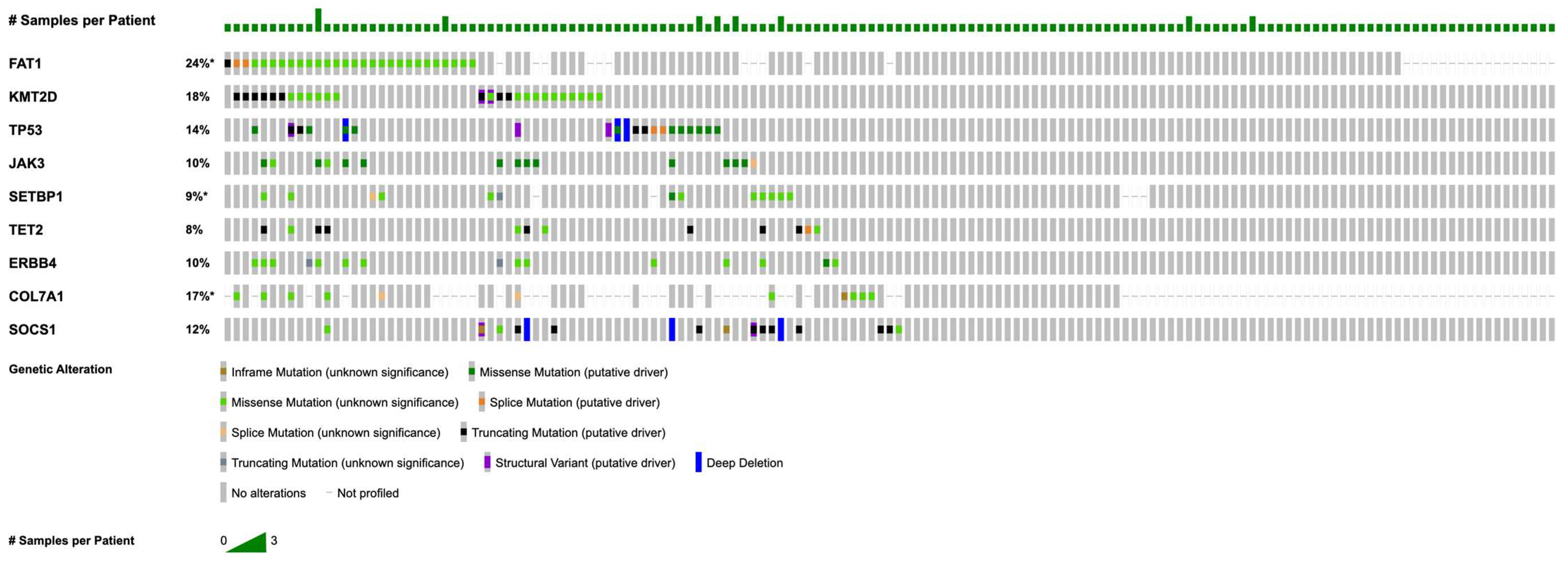 Cancers 17 02984 g001