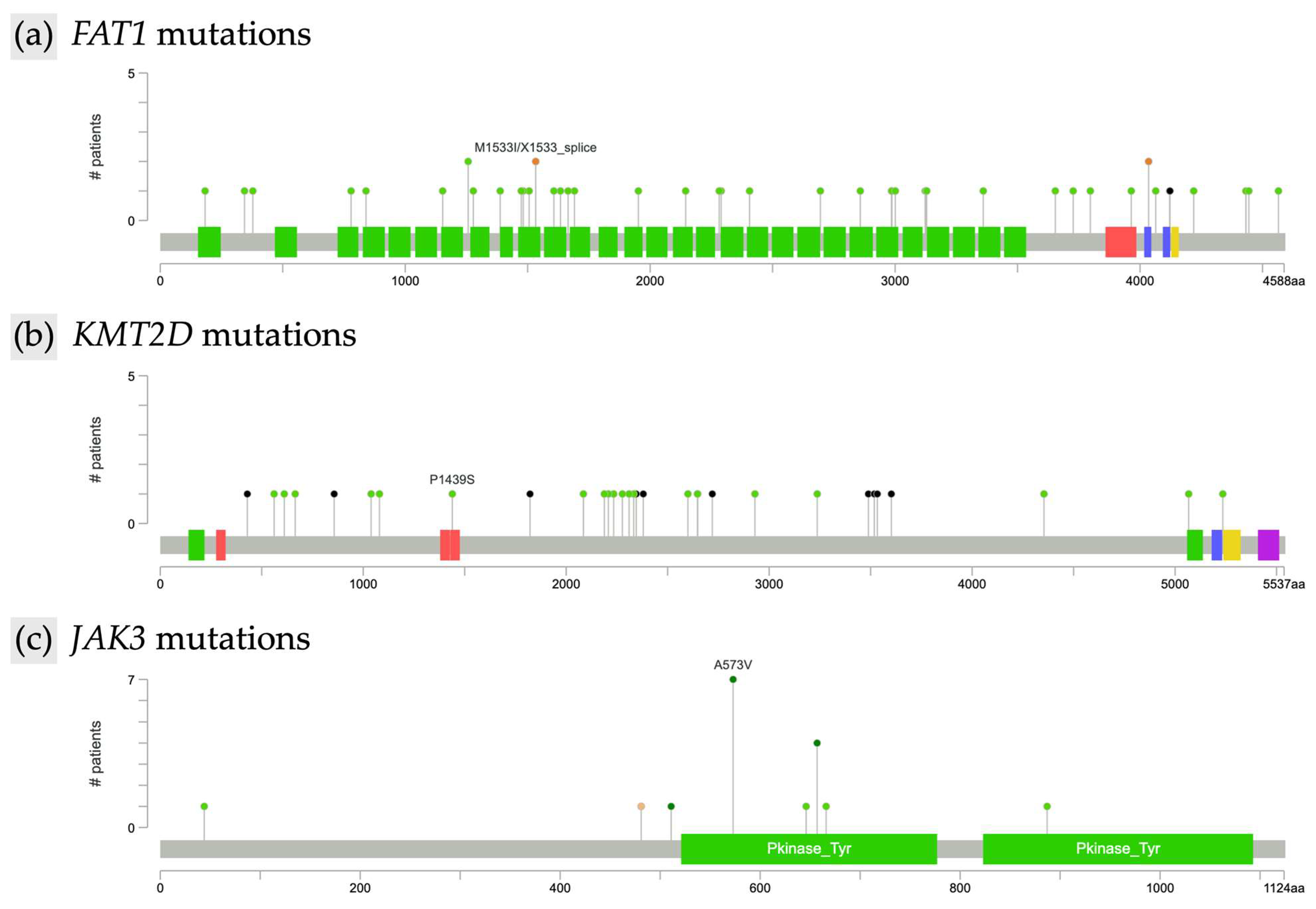 Cancers 17 02984 g002