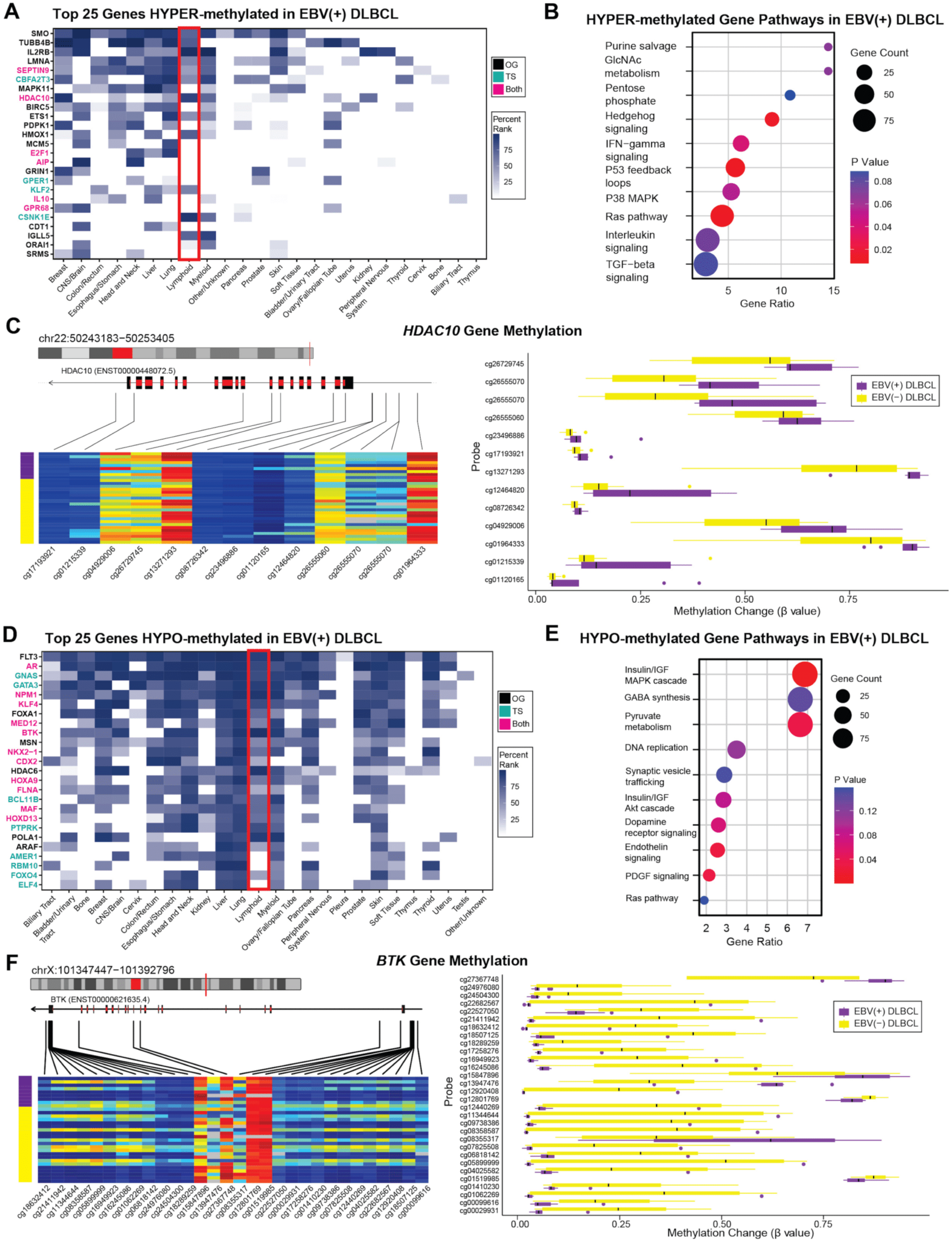 Cancers 17 02994 g004 Cancers 17 02994 g004