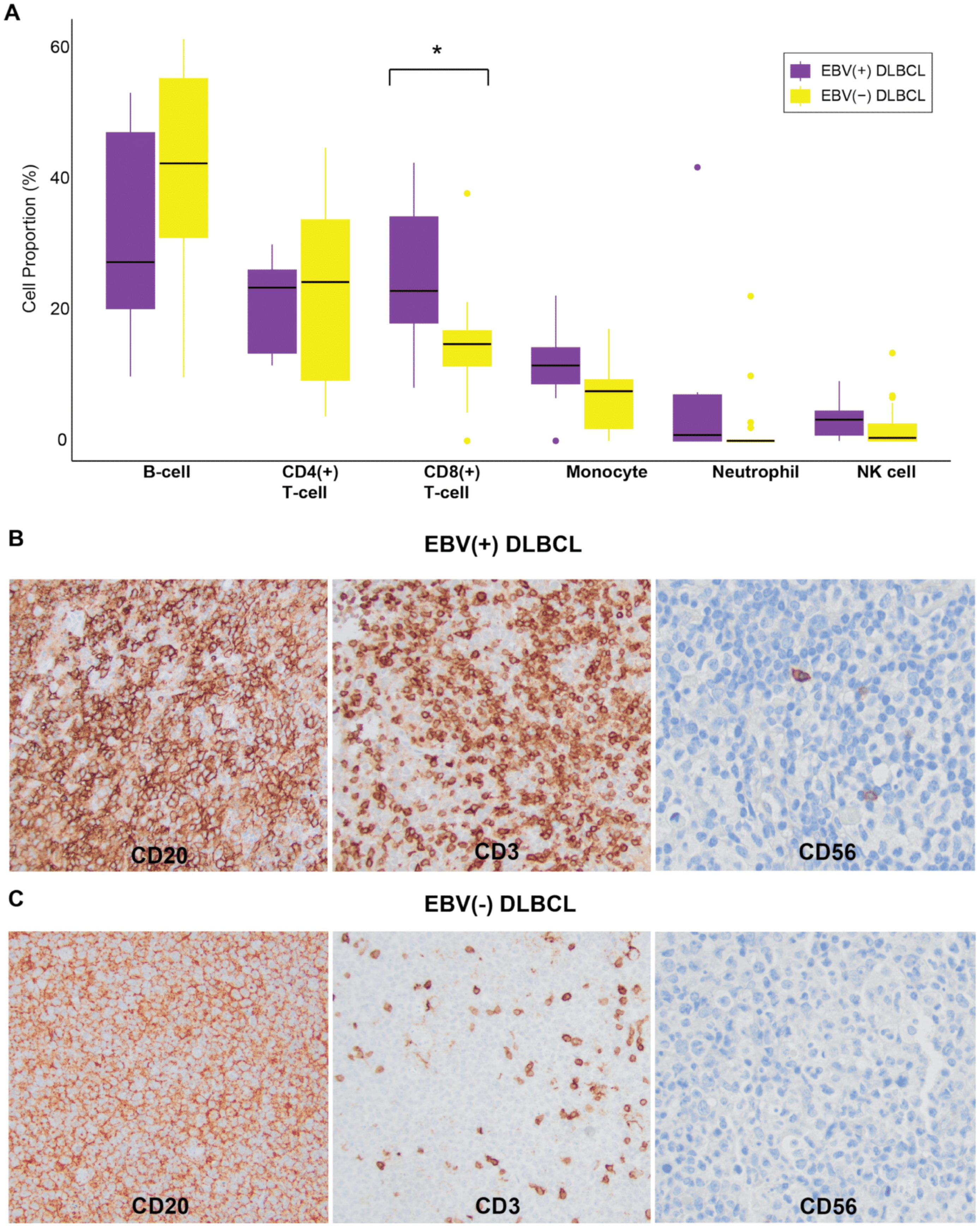 Cancers 17 02994 g005 Cancers 17 02994 g005