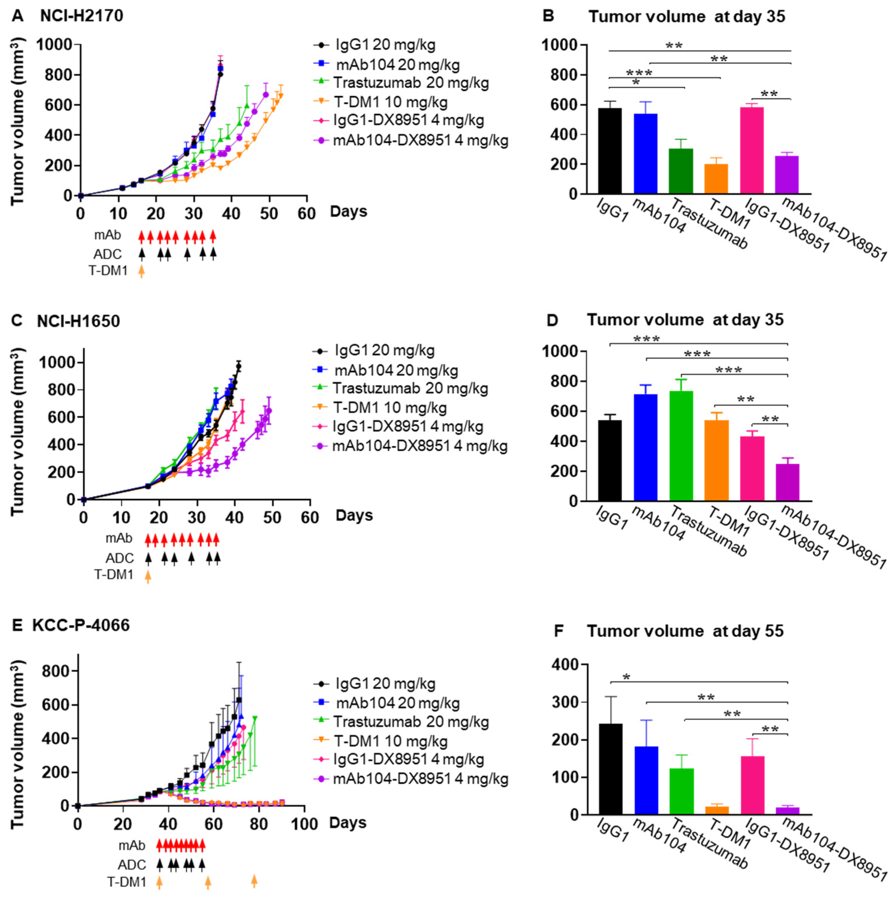 Cancers 17 02995 g005 Cancers 17 02995 g005