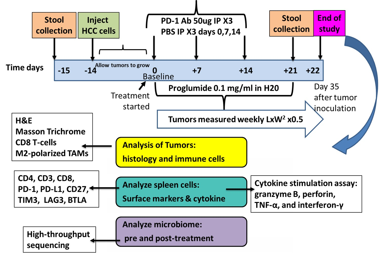Cancers 17 02998 g001