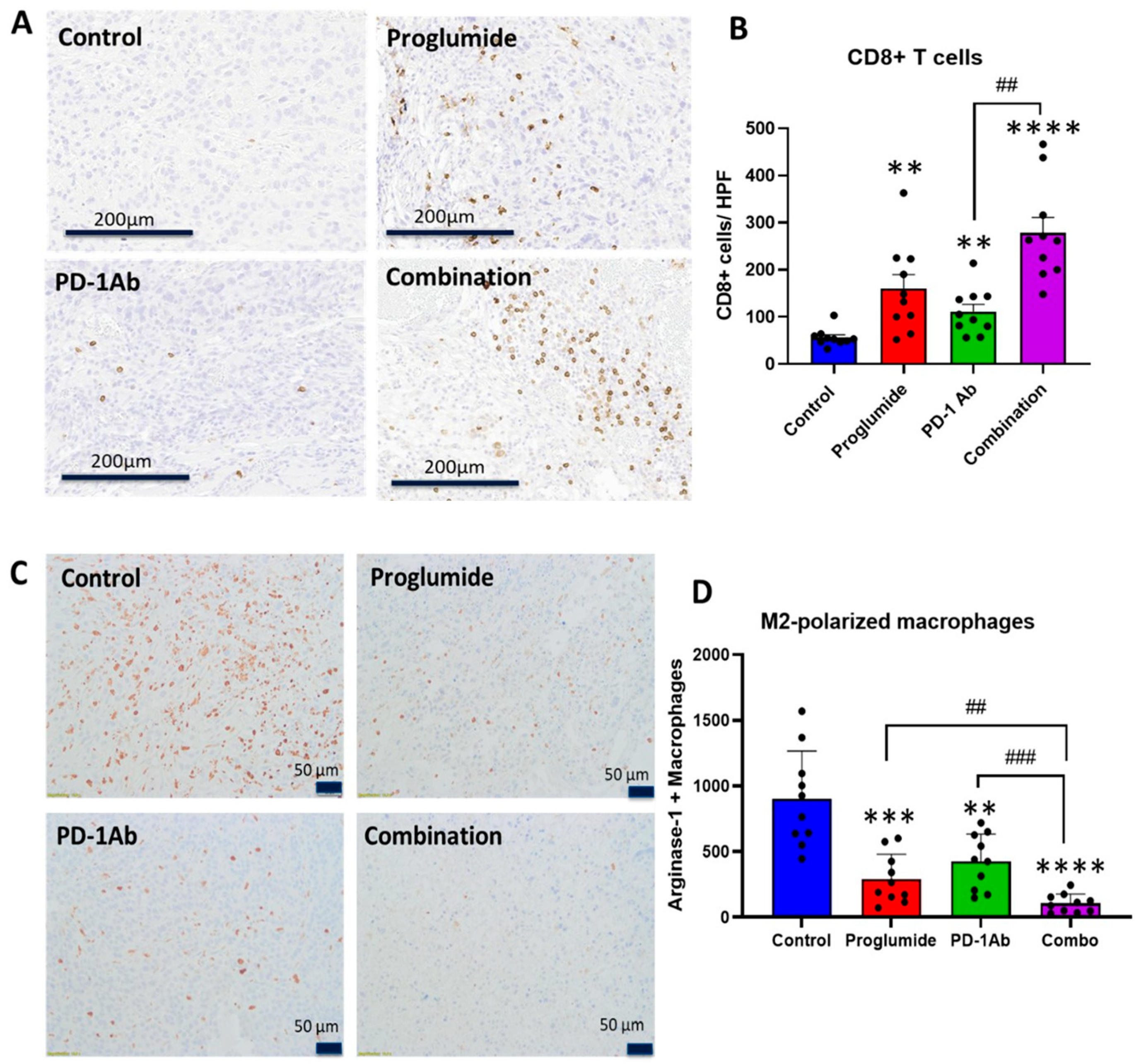 Cancers 17 02998 g004