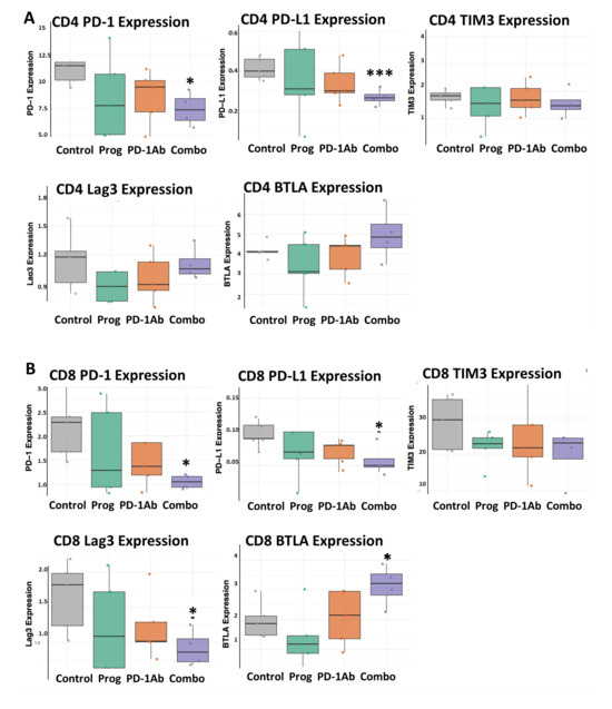 Mechanistic Insights into Proglumide's Role in Immune Cell