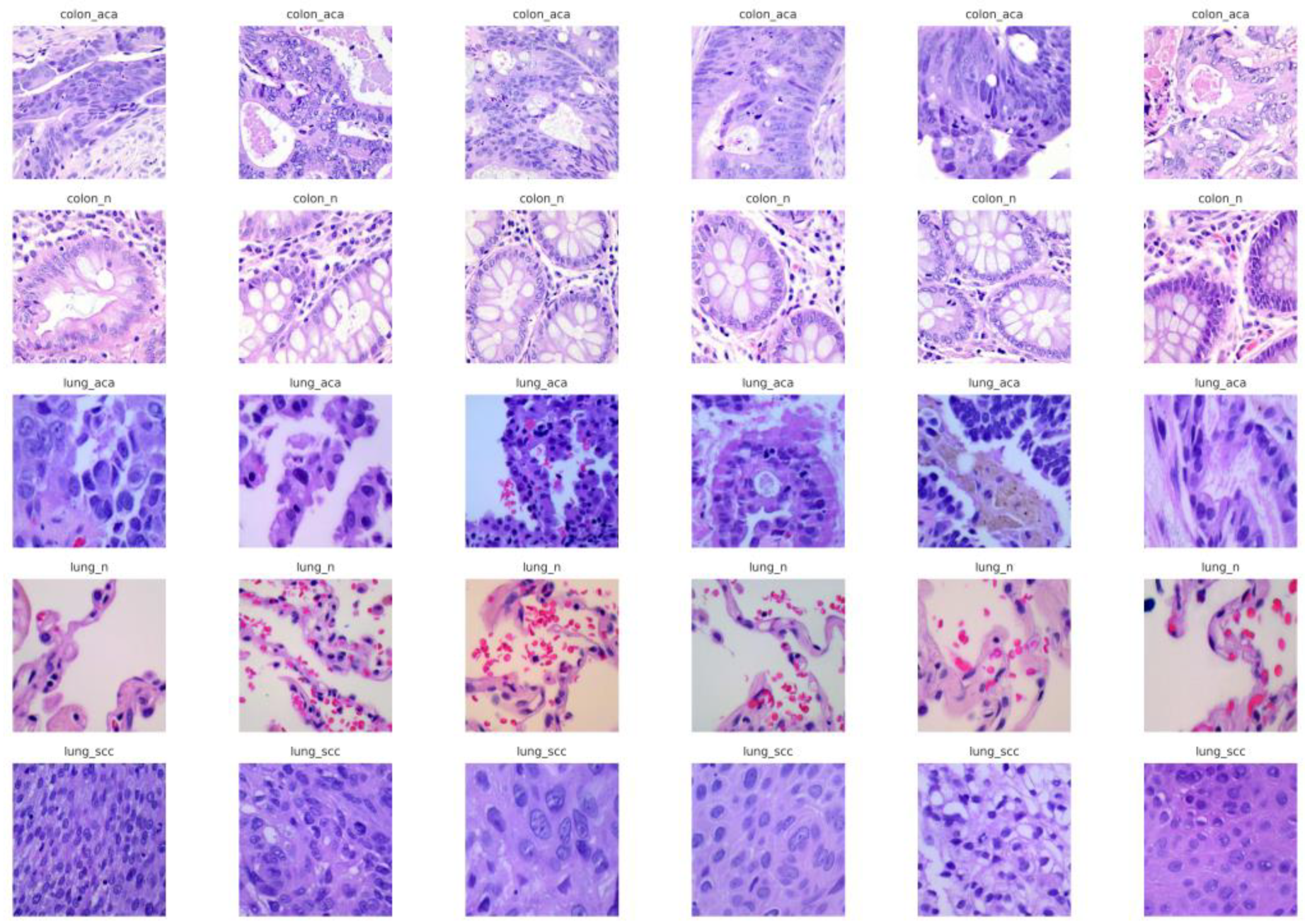 Cancers 17 03005 g002 Cancers 17 03005 g002