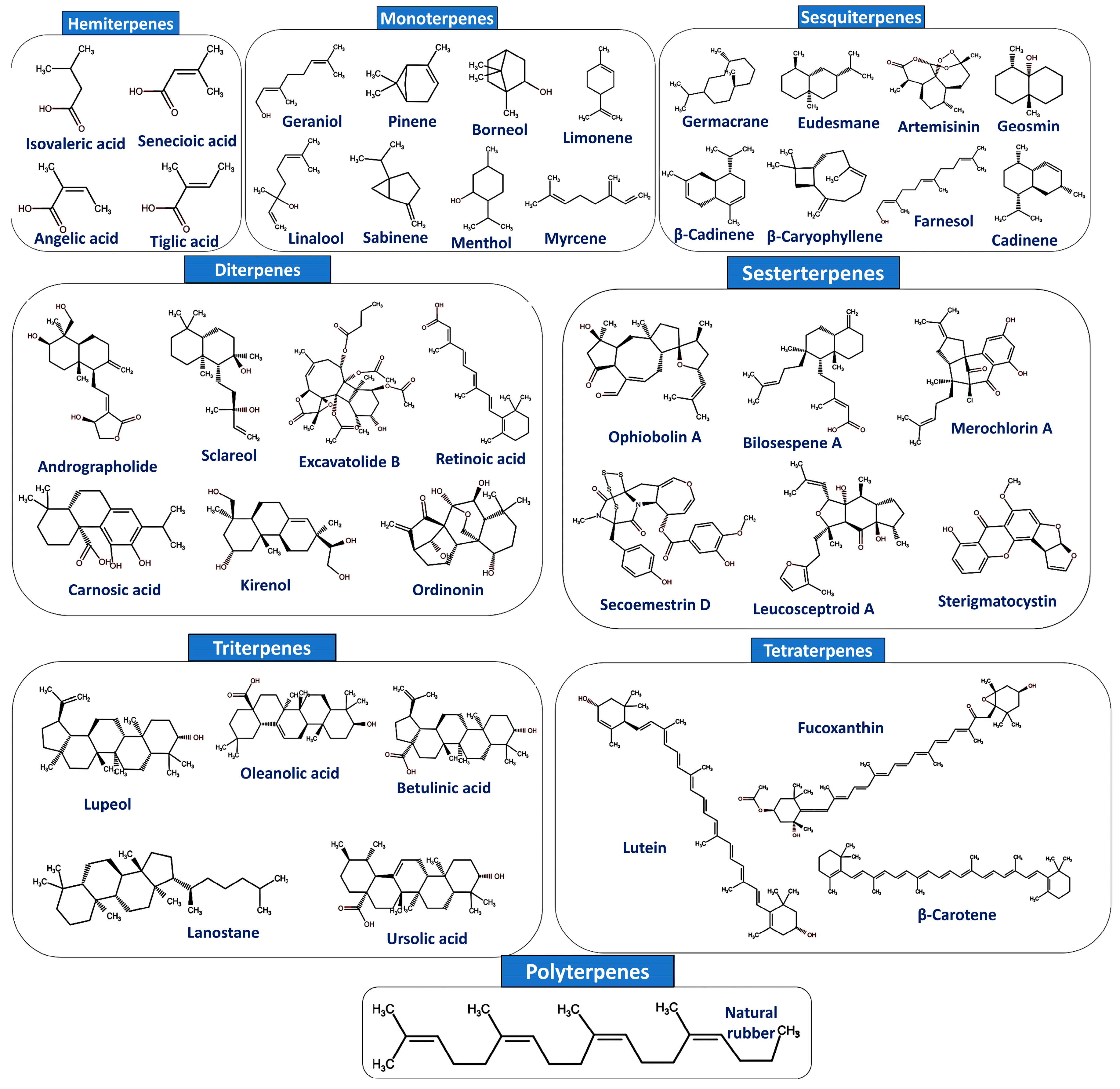 Cancers 17 03013 g002