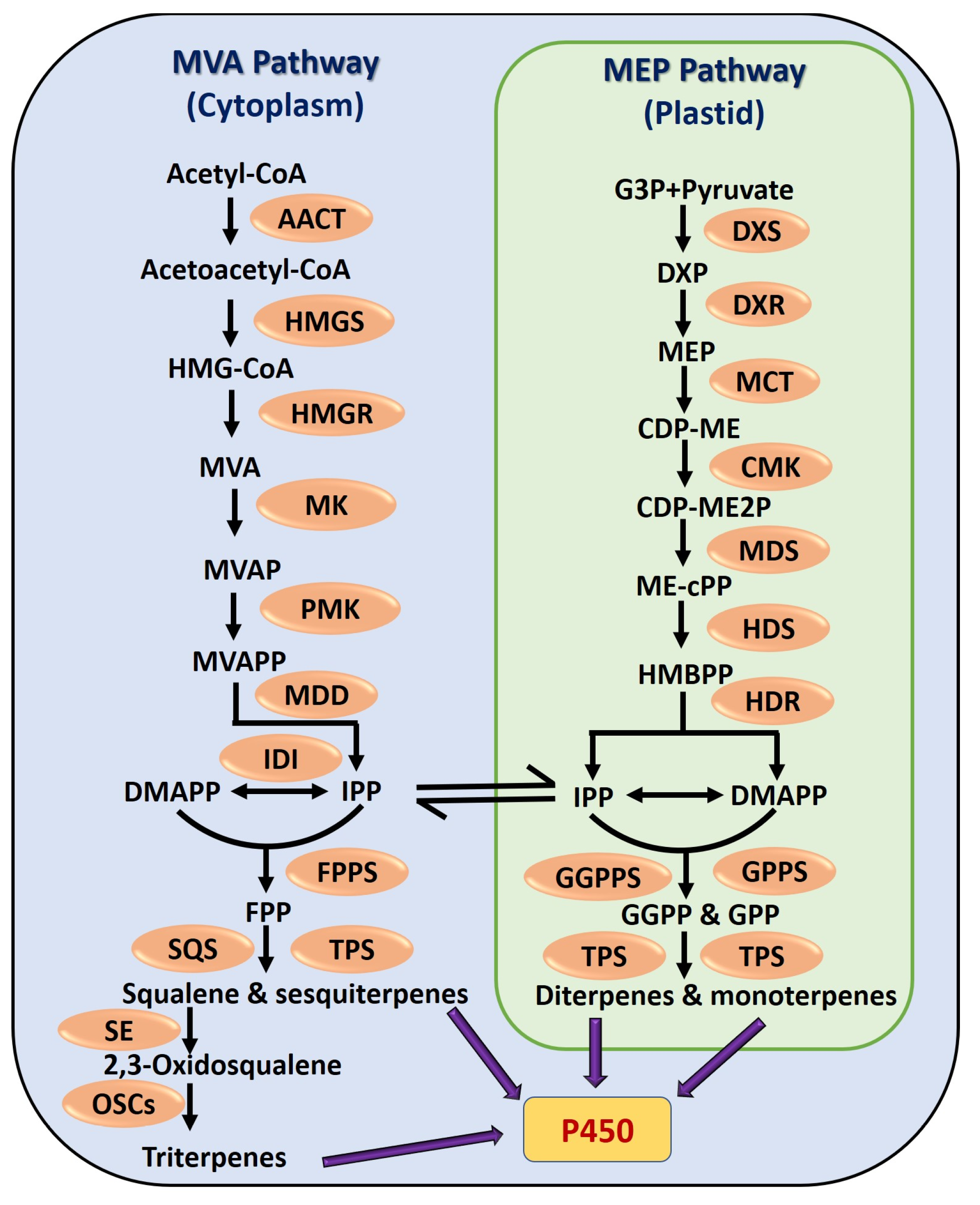 Cancers 17 03013 g003