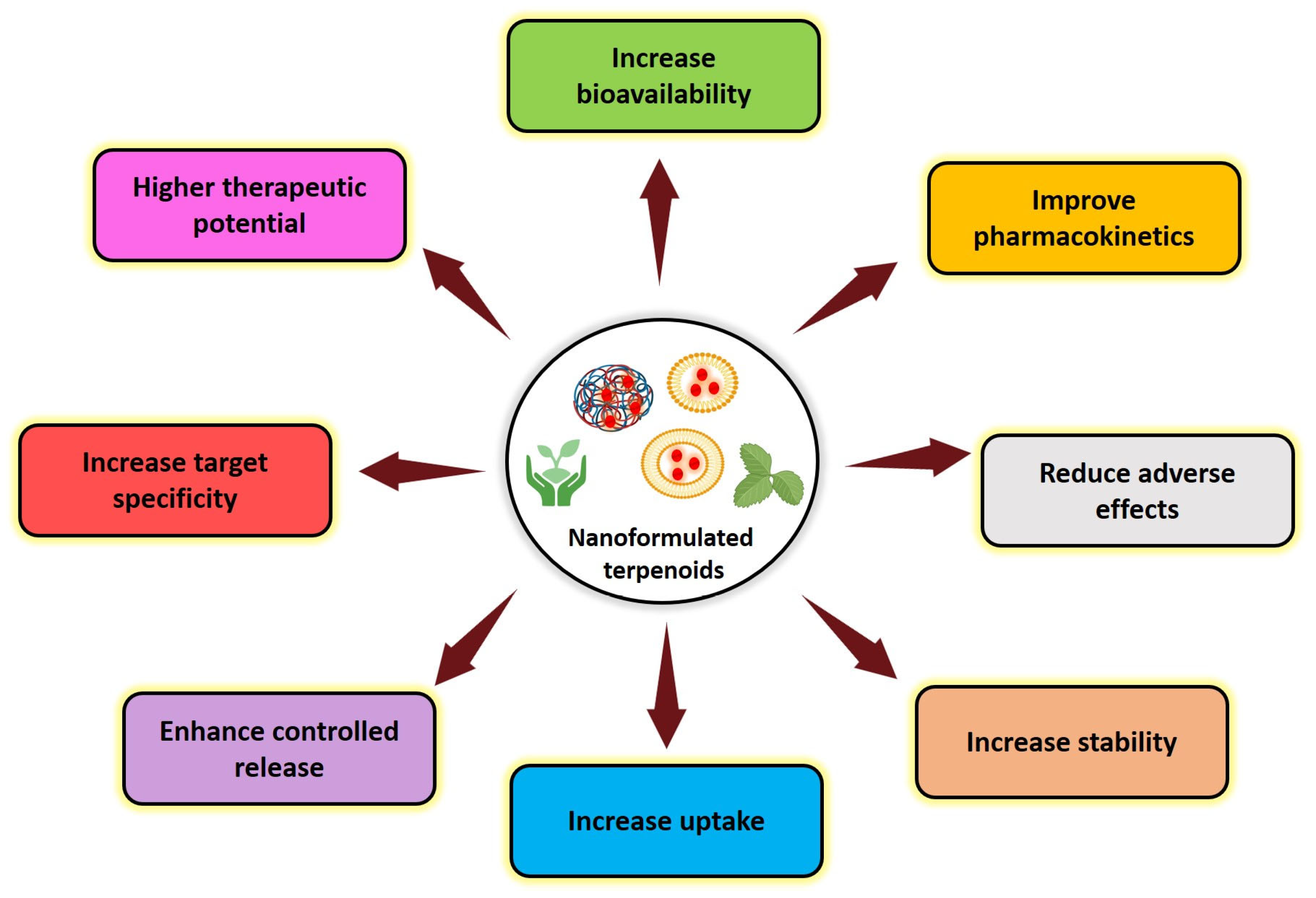Cancers 17 03013 g005