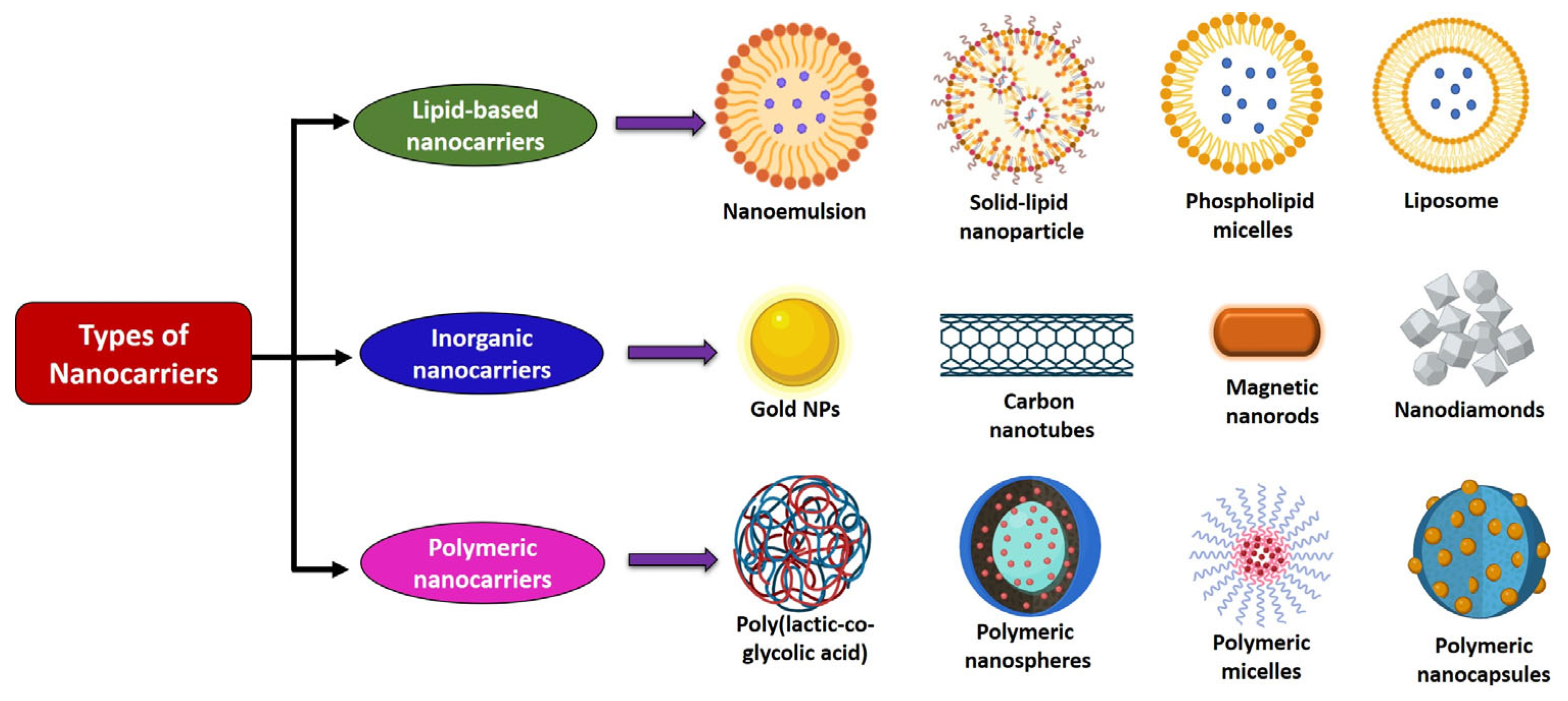 Cancers 17 03013 g006