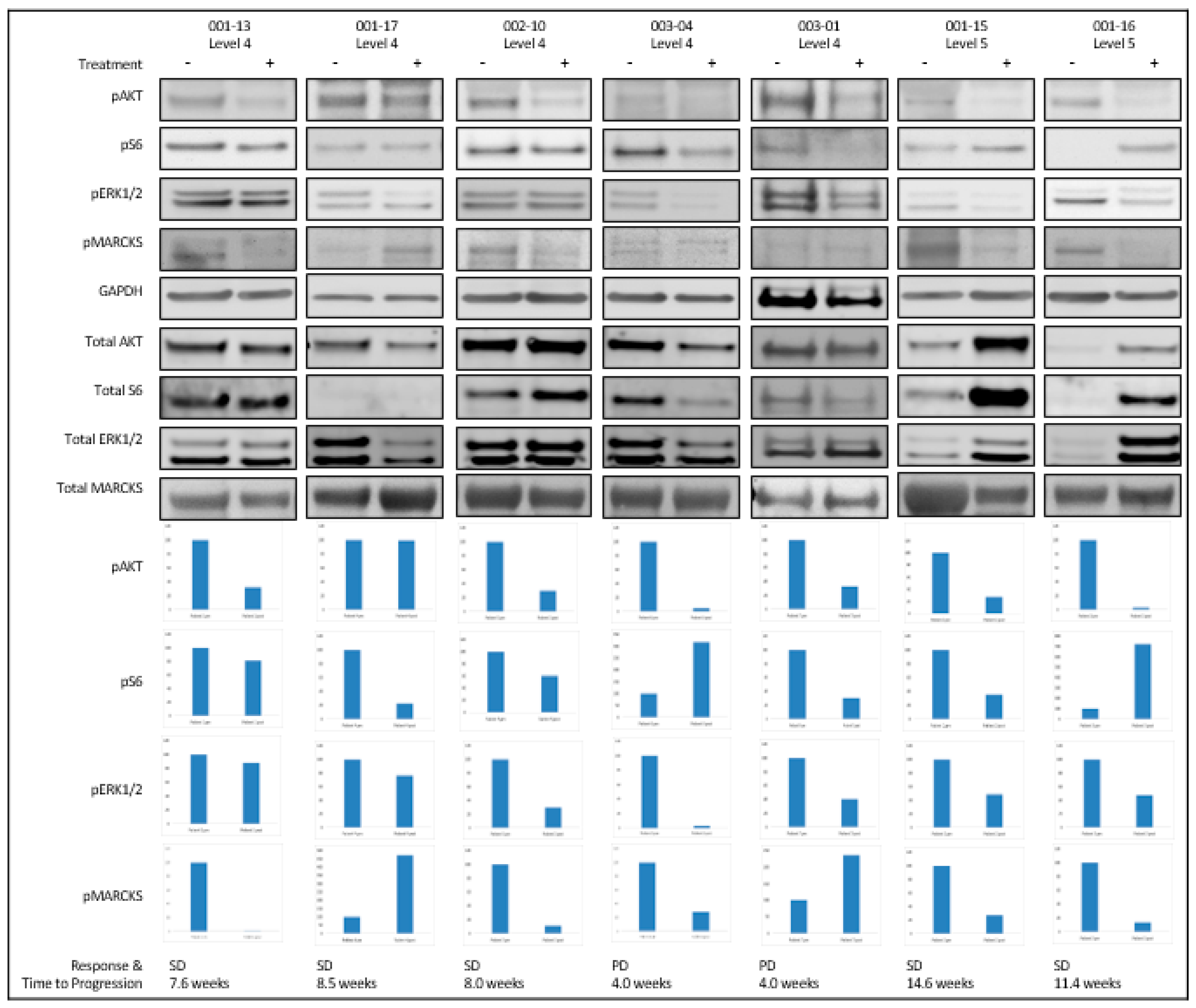 Cancers 17 03018 g001